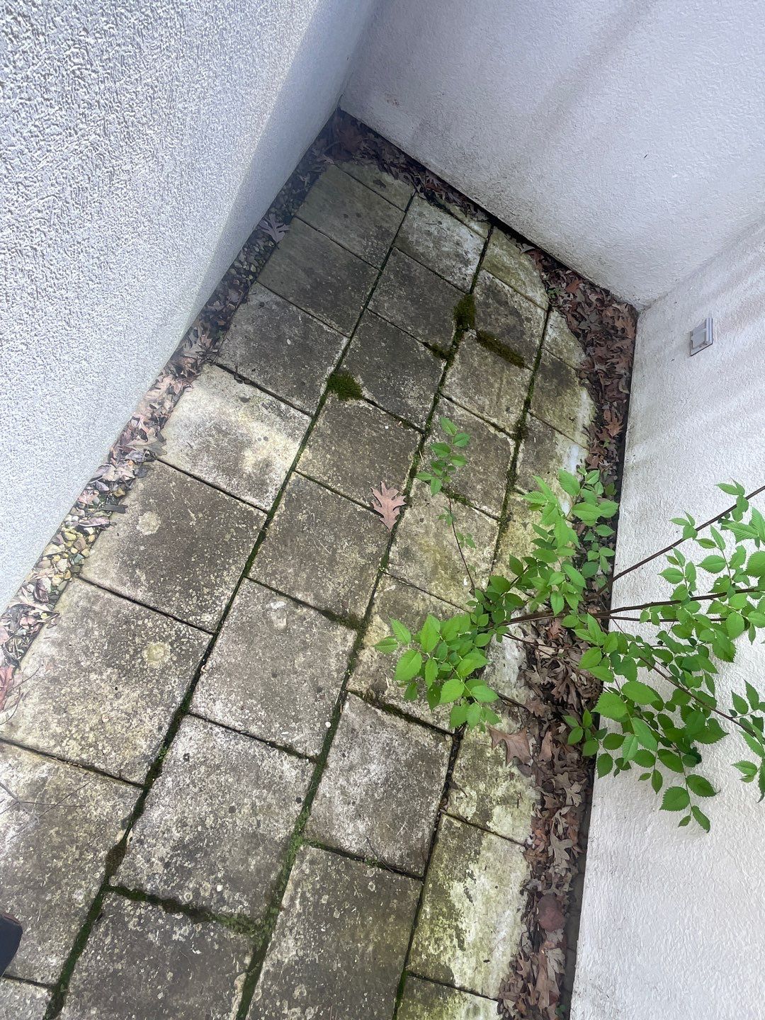 natural stone using Algaecide, soft wash soap by Northern Power Washing LLC.