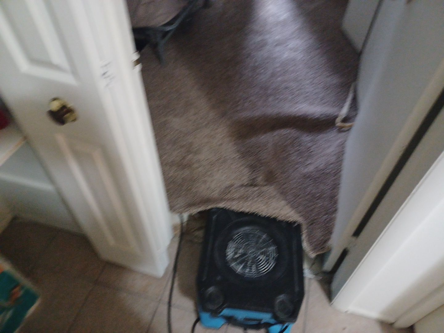 Project in Holly by EzDry Water Mitigation & Property Restoration