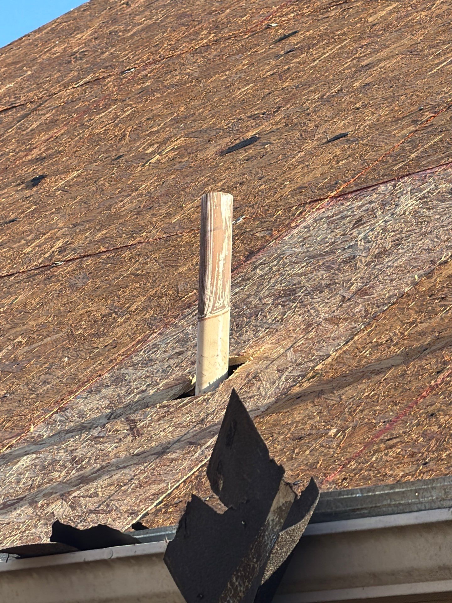 NOMI B. by Boss Hogg Roofing