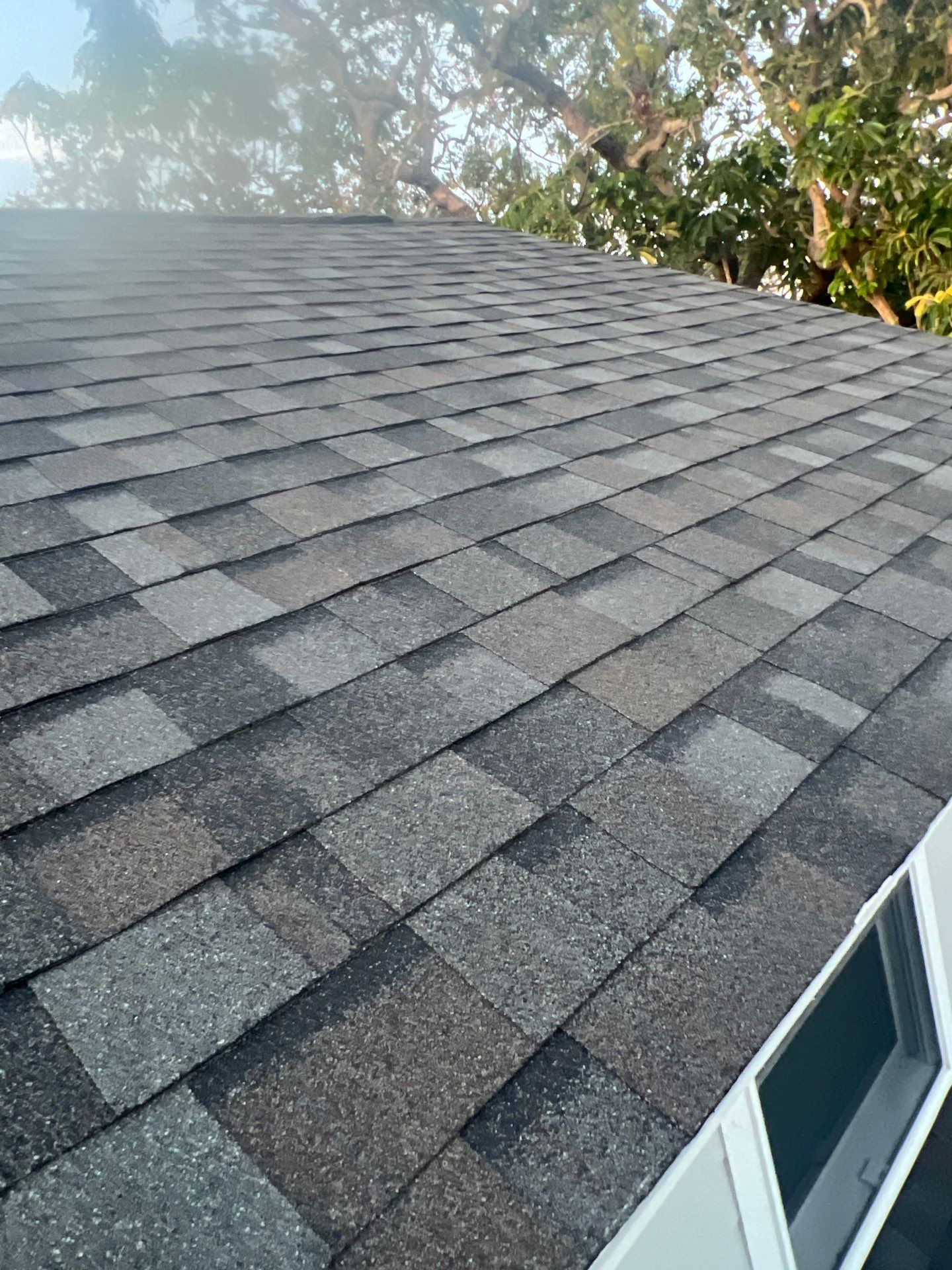 Project in Largo 33774 by Mitchell Roofing Company LLC 