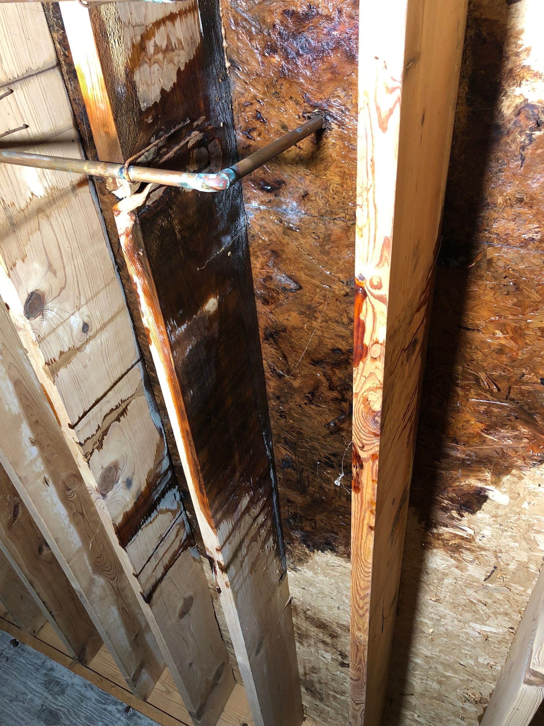 Water Damage Restoration in Louisville, KY by ANR Restoration