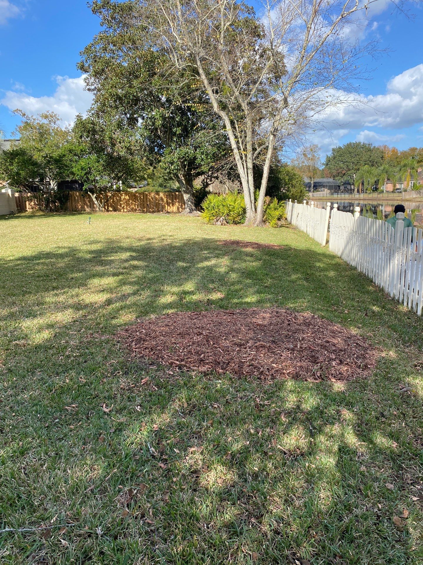 Deerwood Resident | Tree Removal & Palm Trimming by ProGreen Services