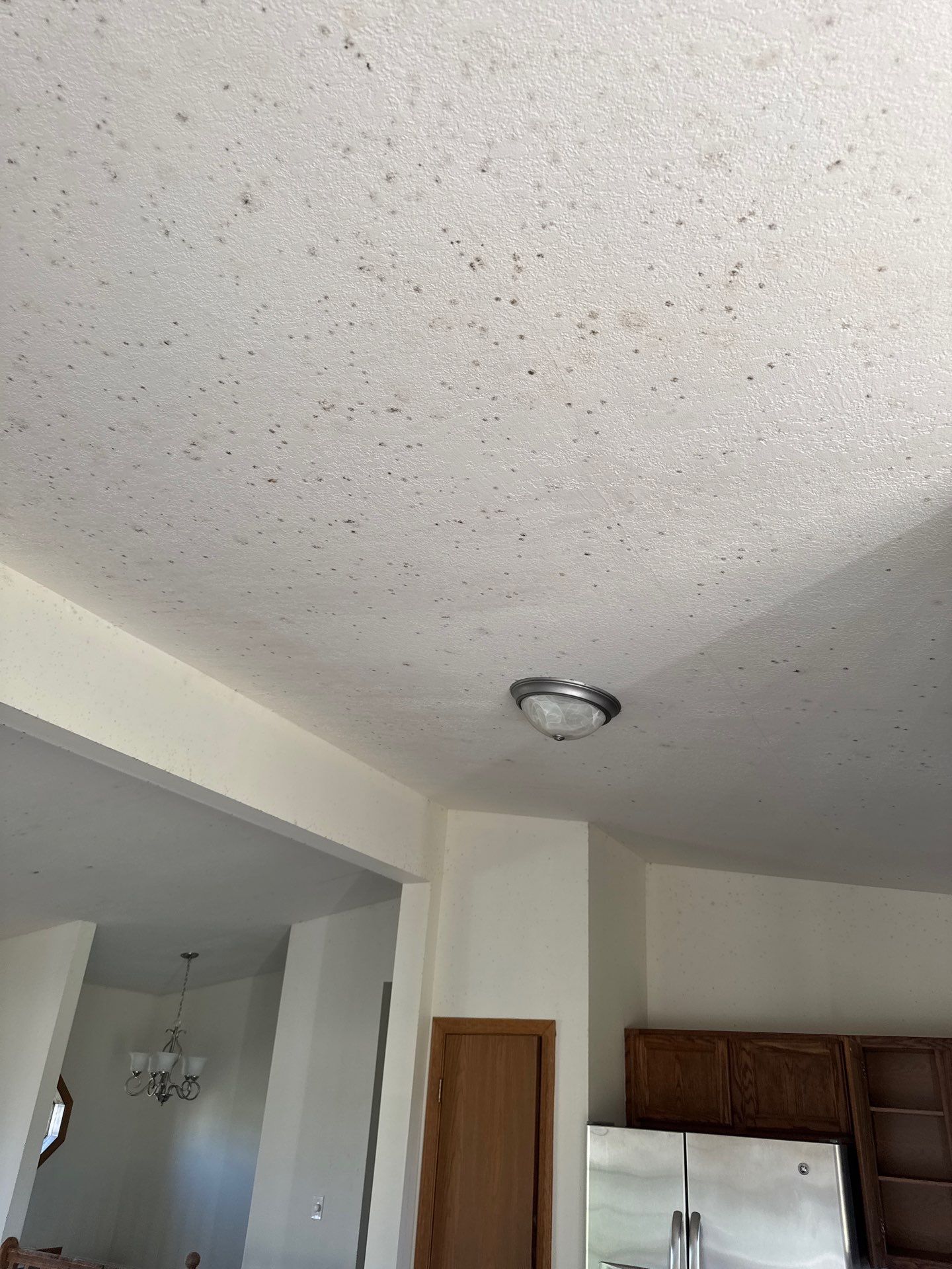 Project in Richmond by EzDry Water Mitigation & Property Restoration