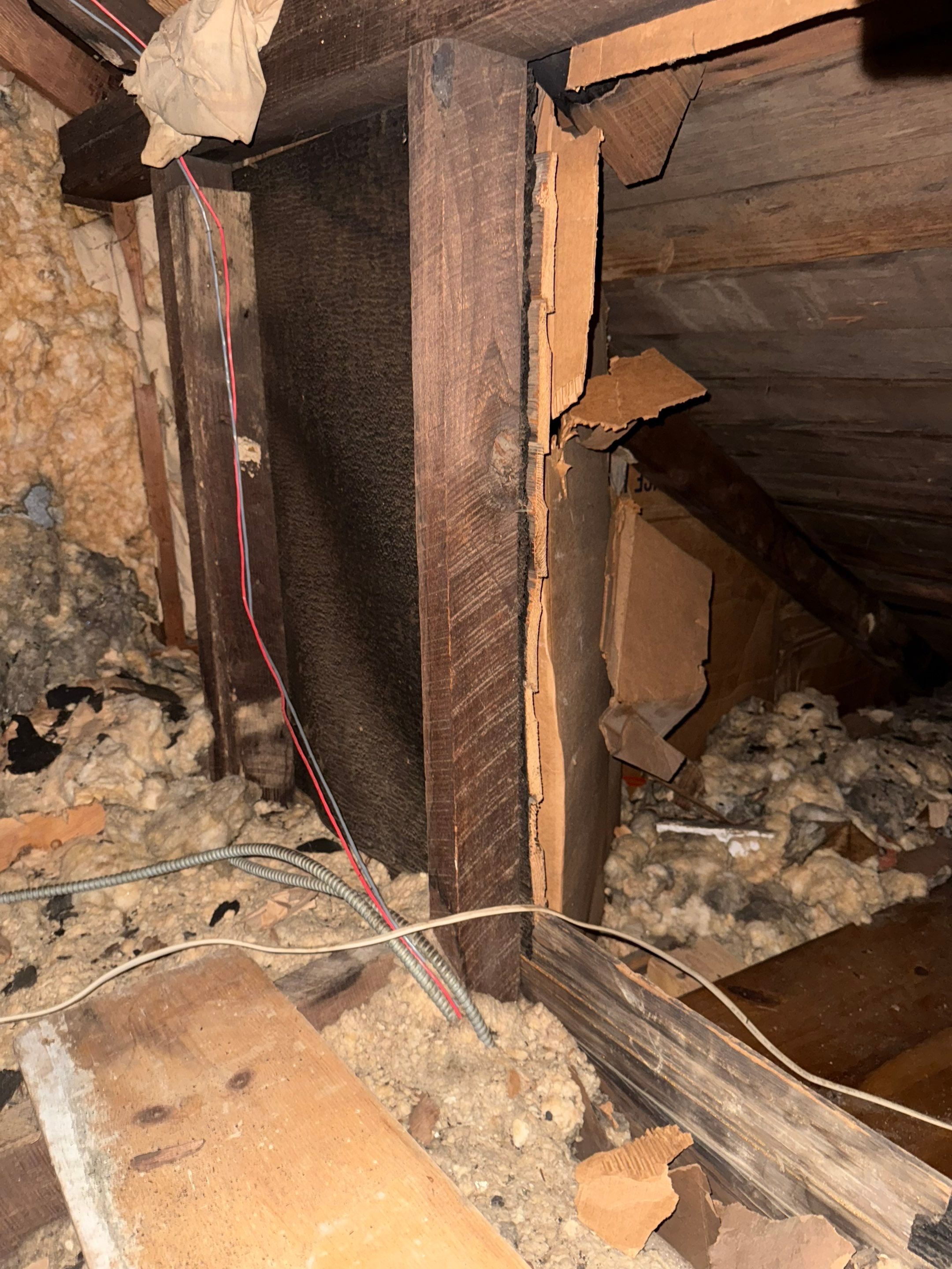 Monkton Residence by Smart Energy Pros