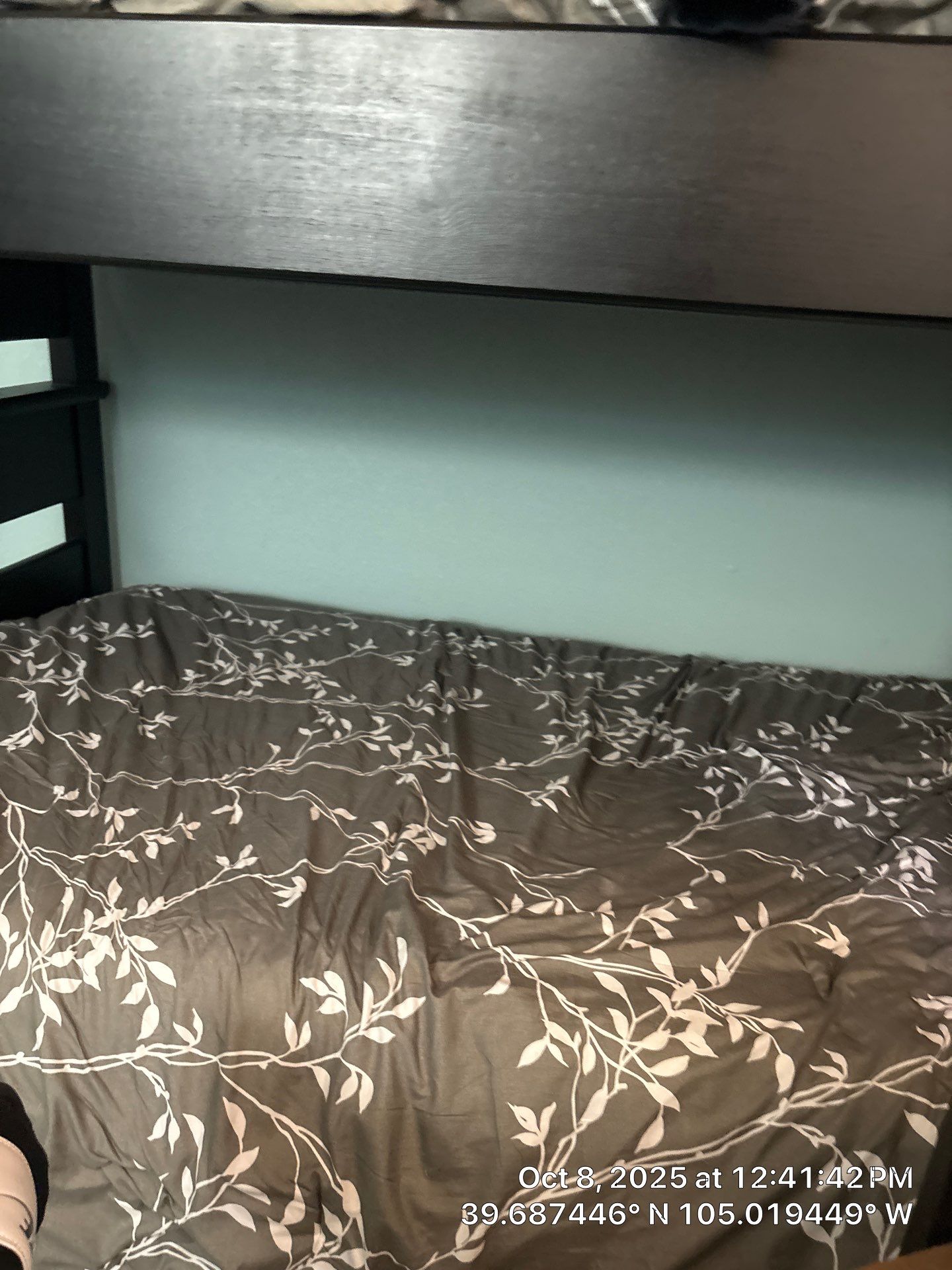 Joness Backyard by CompanyCam Sales Demo