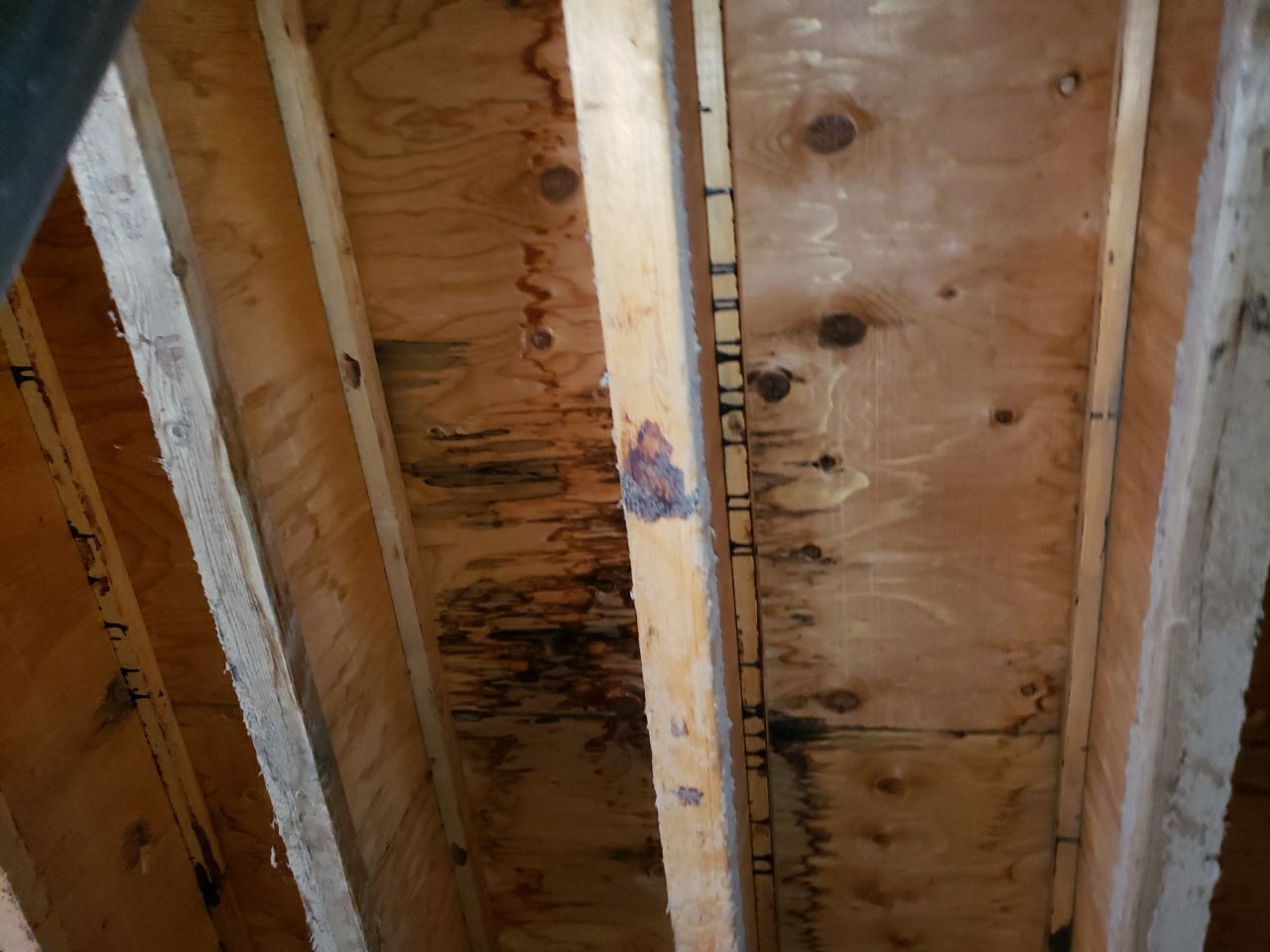 Residential Roofing Repair using Concrete Tile by The Roof Doctor