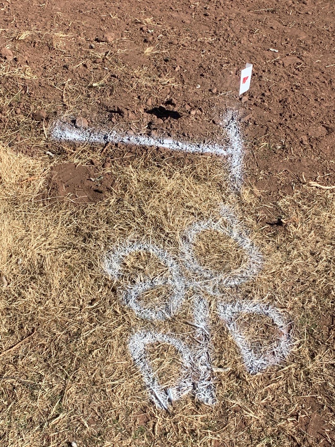 Light Commercial using 6' Pro-panel by Valley Fence Company