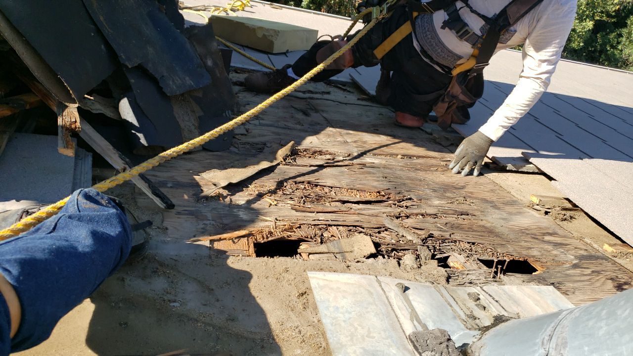 Residential Roofing Repair using Concrete Tile by The Roof Doctor