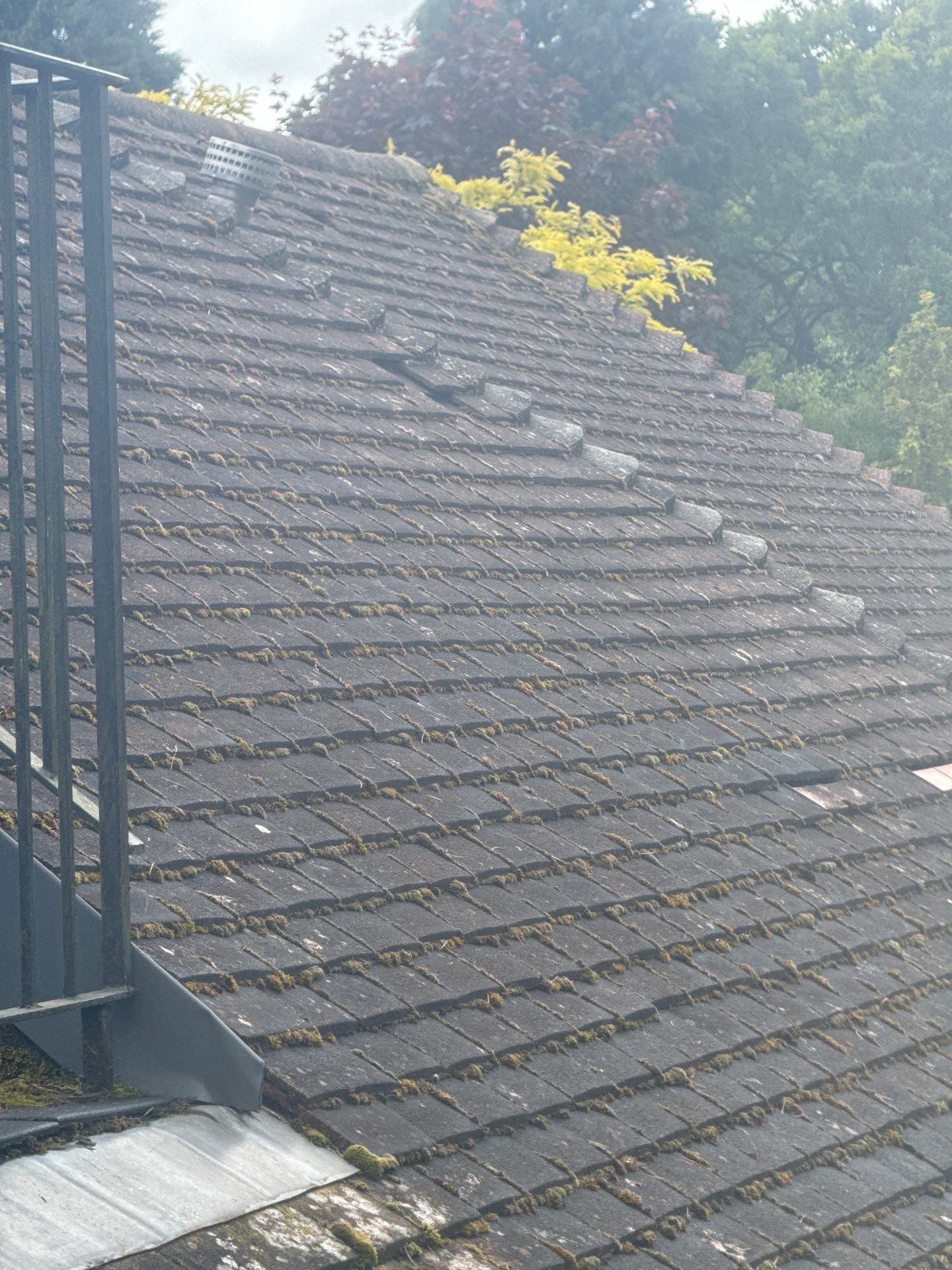 Roof Clean and Biocide Treatment using Honda 15lpm Low Pressure Washing Machine by Ges Exterior Cleaning ltd