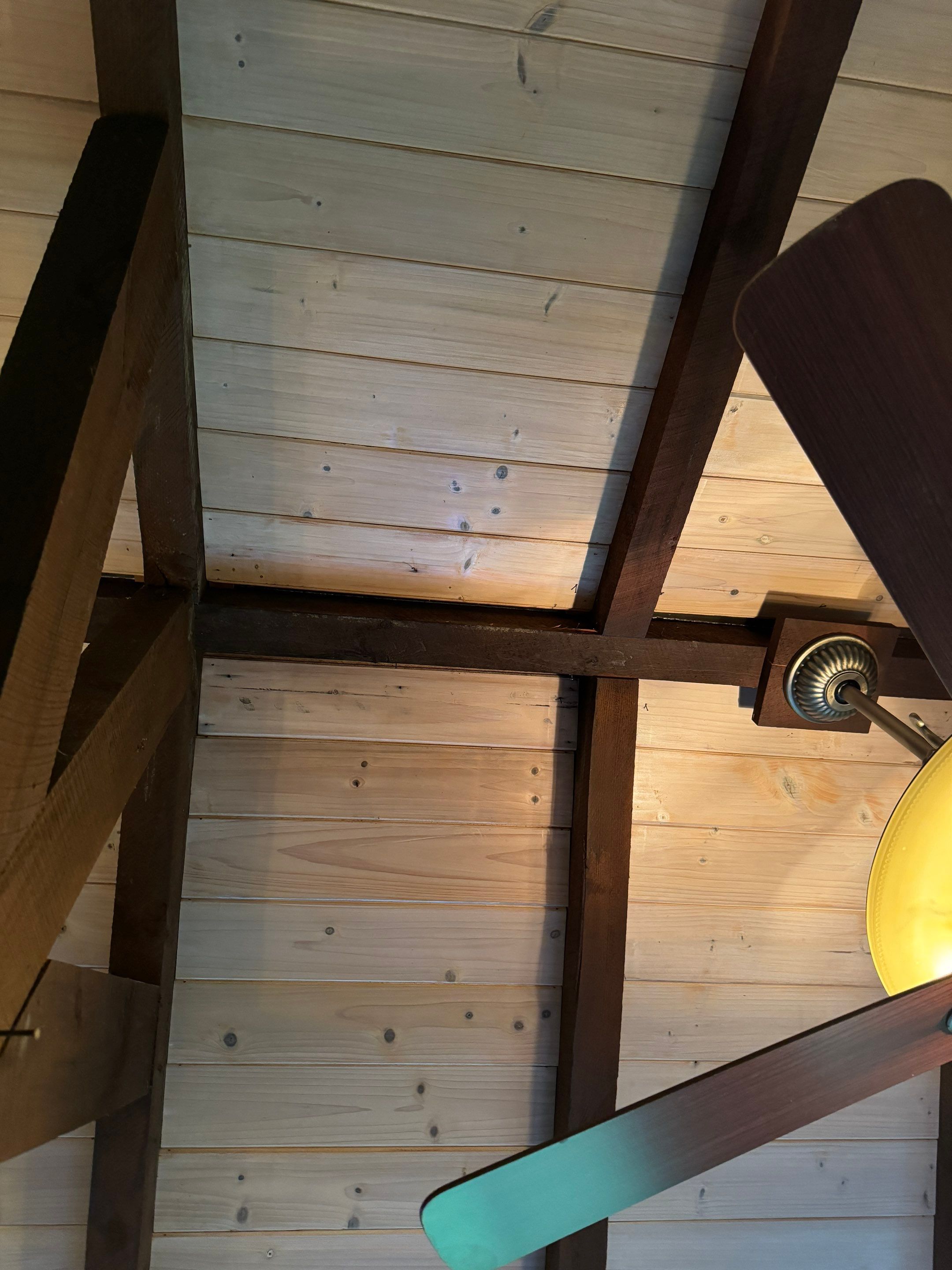 Attic & Sunroom Mold Remediation by Home Guarantee, LLC