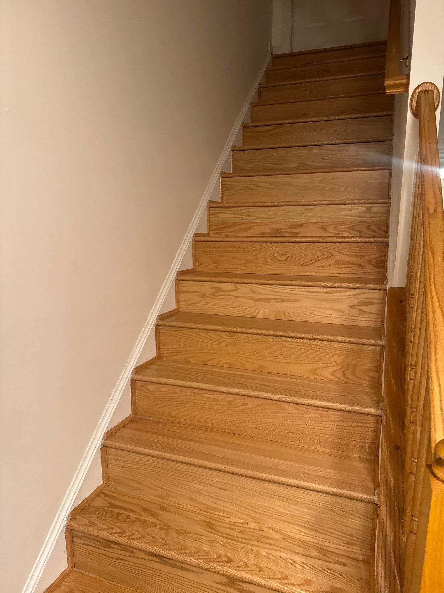 New Gutters, New Floor, New steps, New Paint job by Alpha Design Services