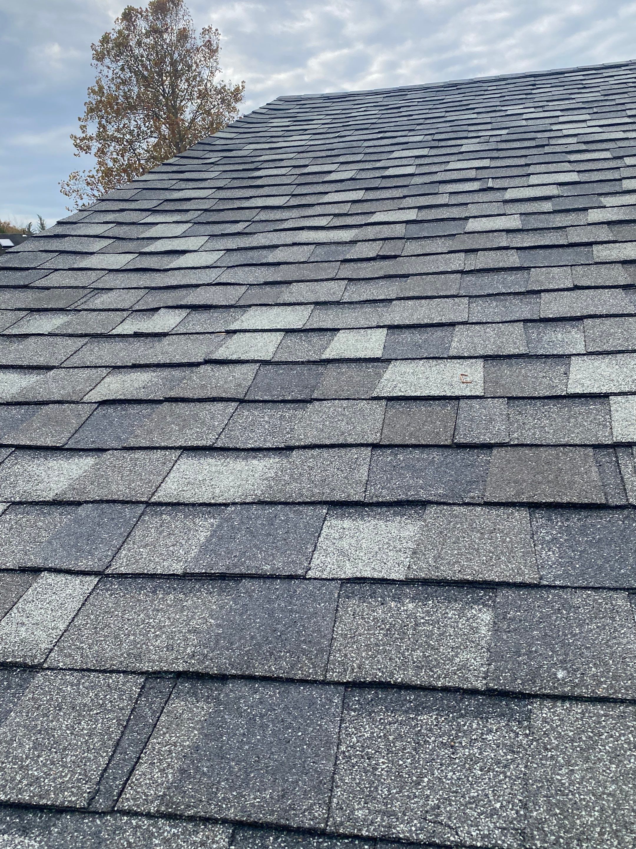 Arlington: Residential Roof Replacement with CertainTeed Landmark Pro in Max Def Georgetown Gray by RM Banning, Inc.