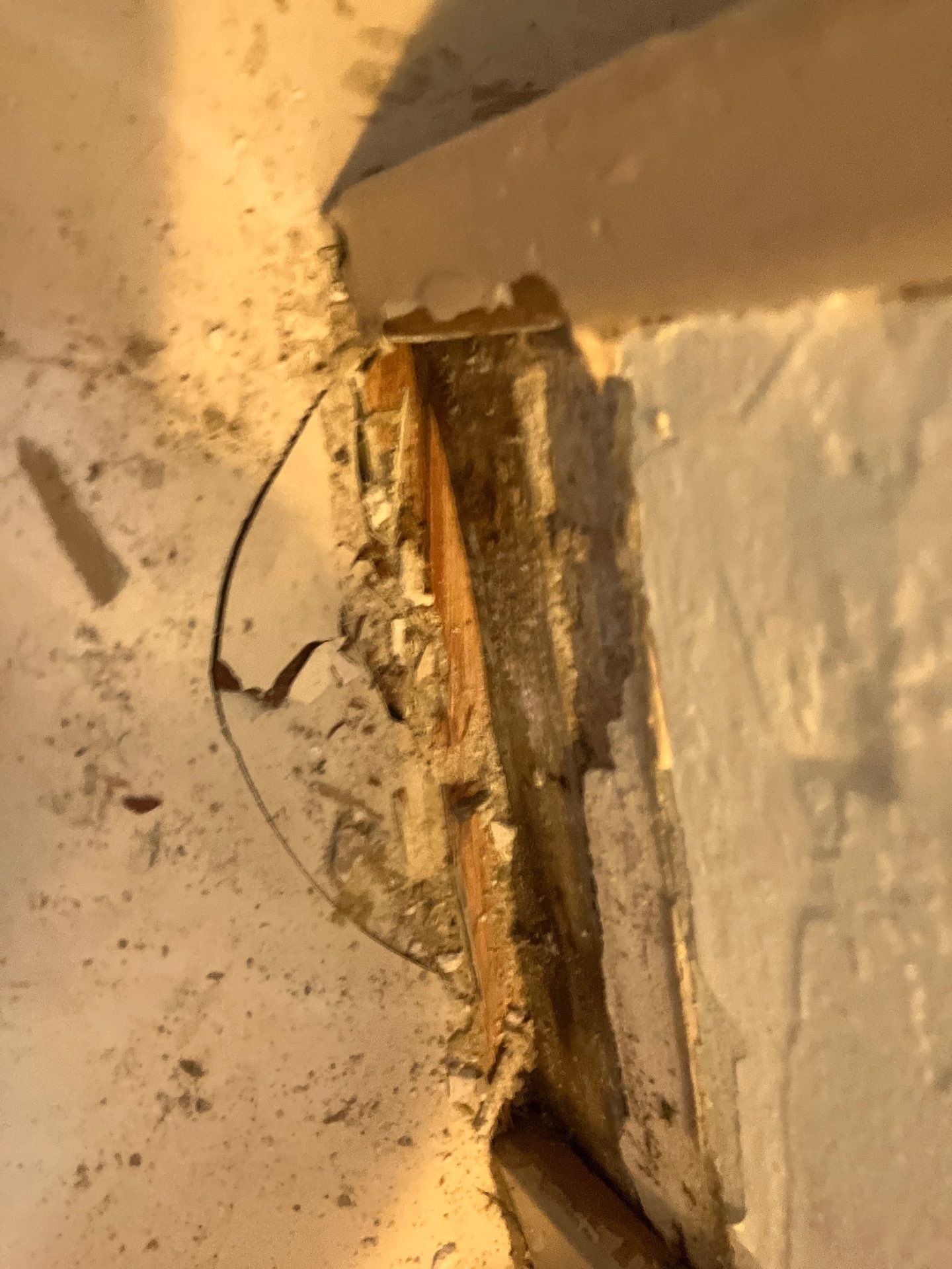 St. Pete Water Damage Mitigation by Ampm Restoration Services