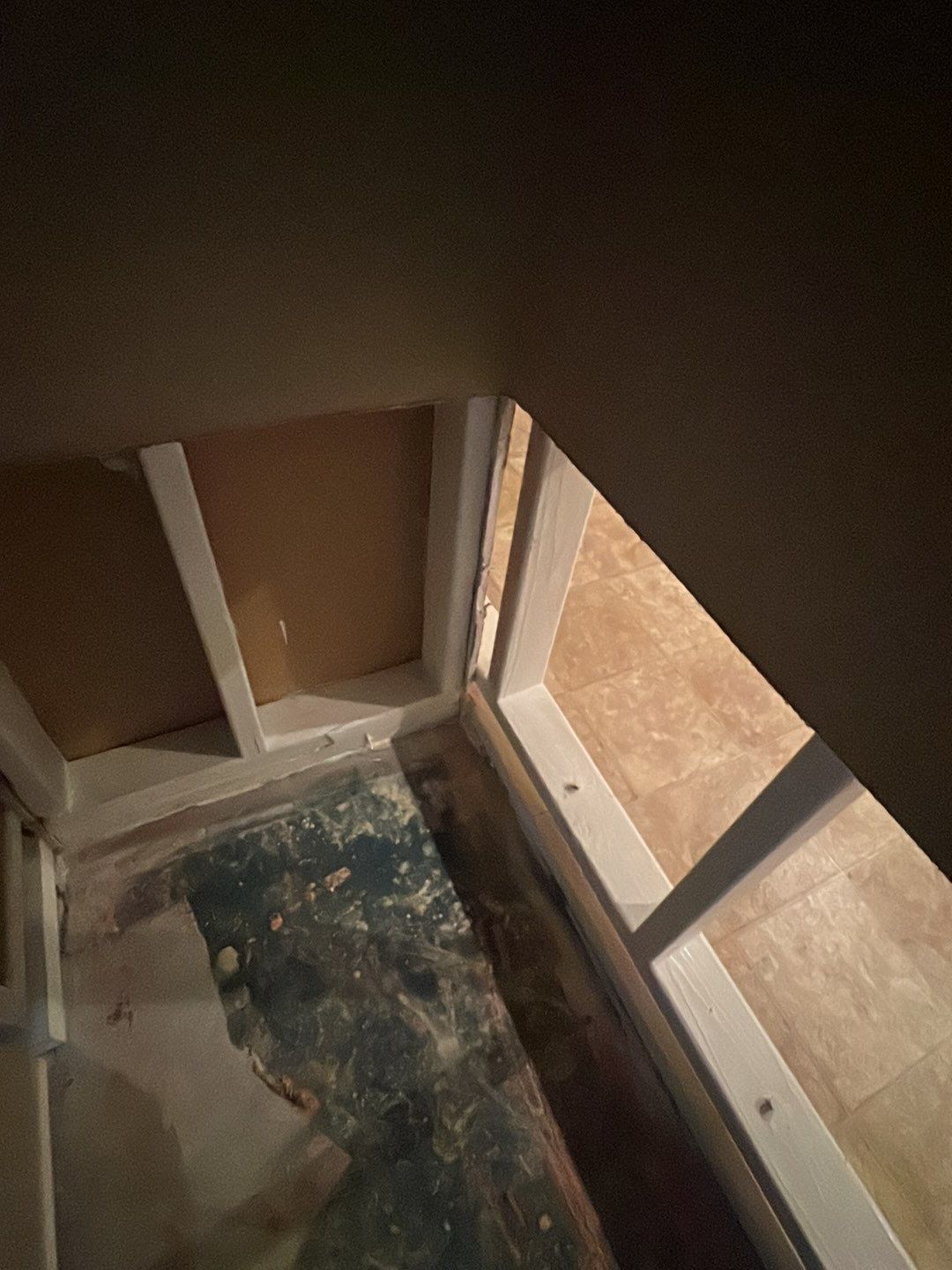 Mold Damage by Accountable Home Services