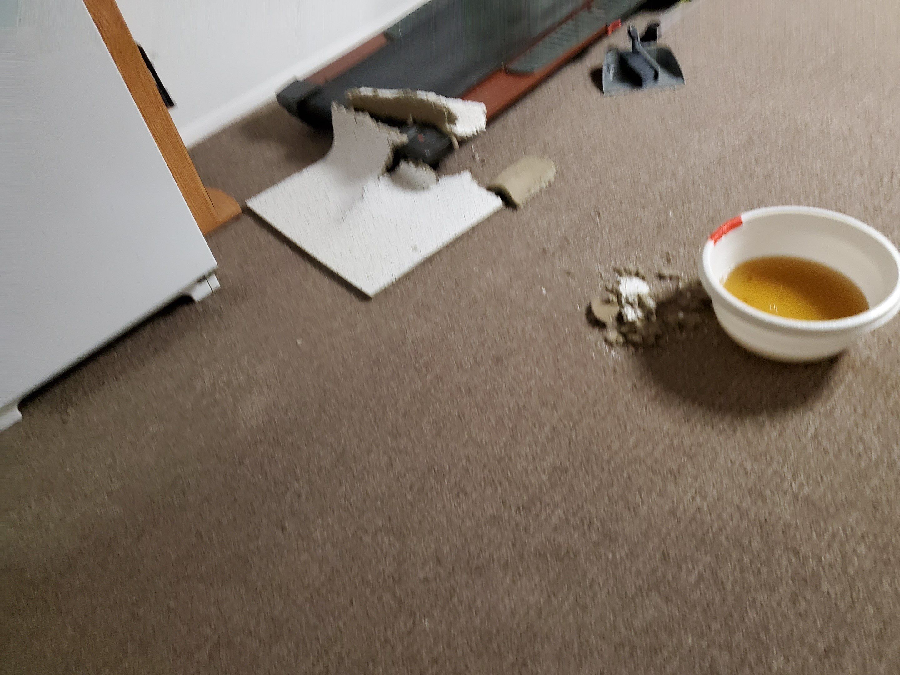 Project in Farmington Hills by EzDry Water Mitigation & Property Restoration