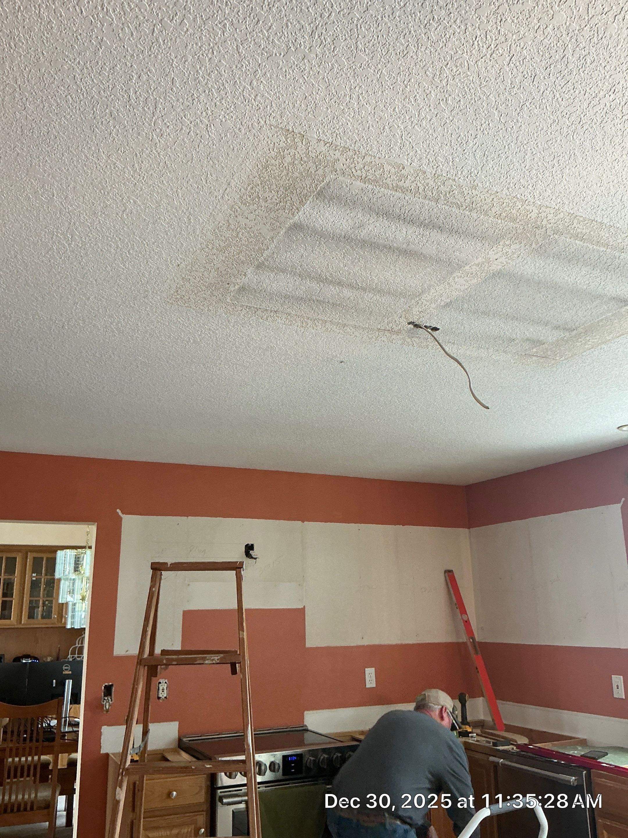 Ankeny Residential Interior | SW Duration in Natural Linen, Velvet Antler Accents & Clary Sage Bath with ProMar Flat White Ceilings by Midwest Paint LLC