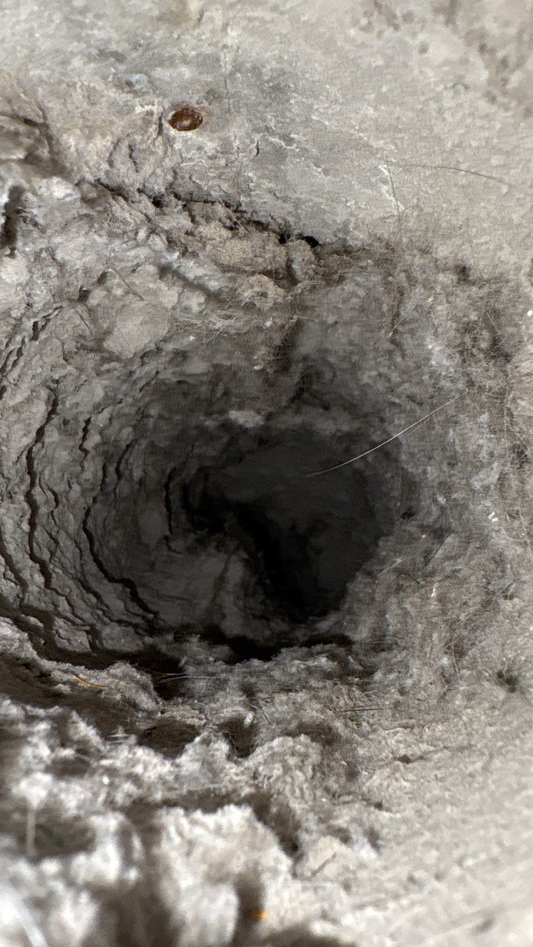 Dryer Vent Cleaning in Pittsburgh, PA by Superior Air Duct Cleaning