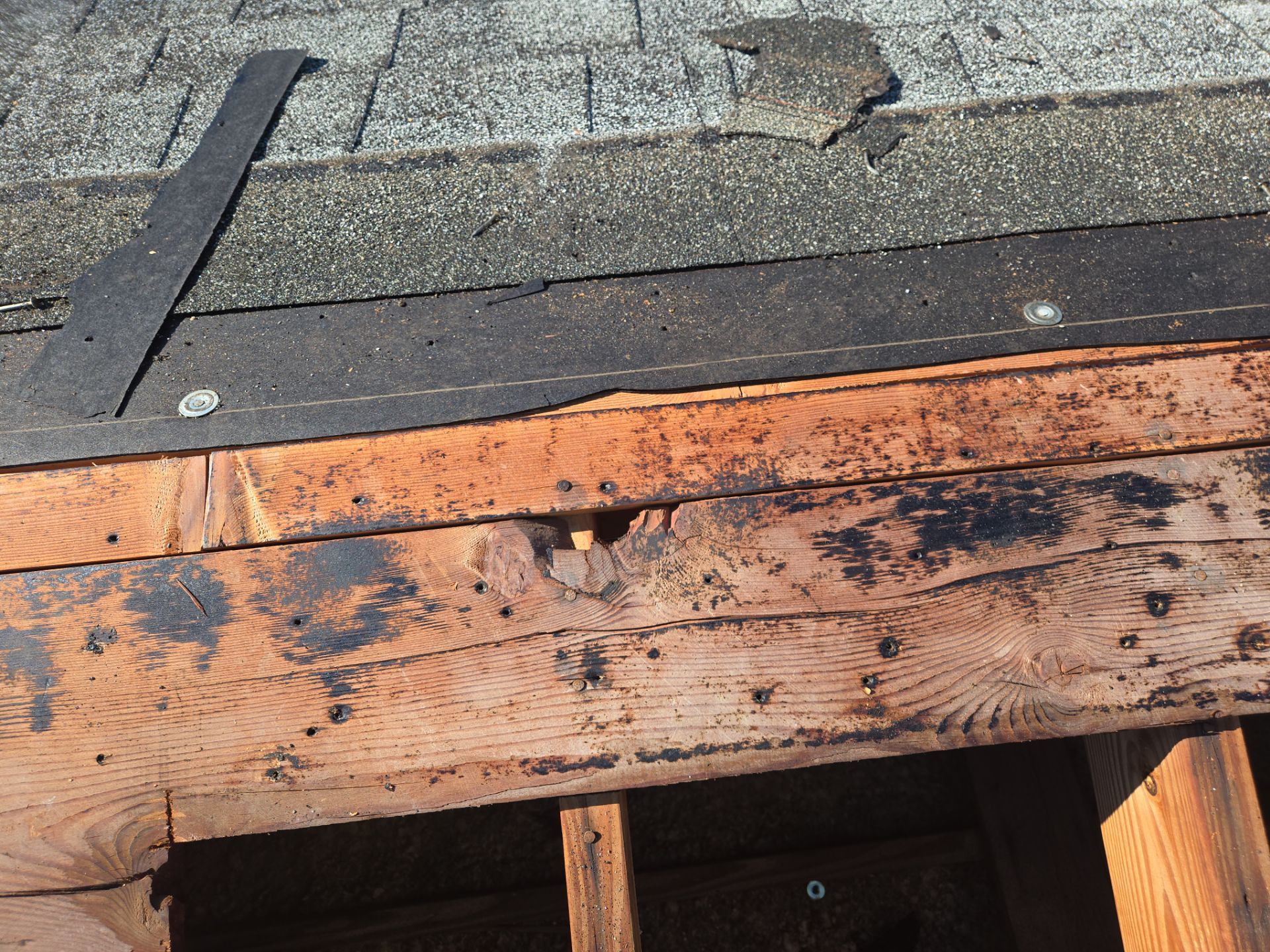 Project in St. Petersburg 33705 by Mitchell Roofing Company LLC 