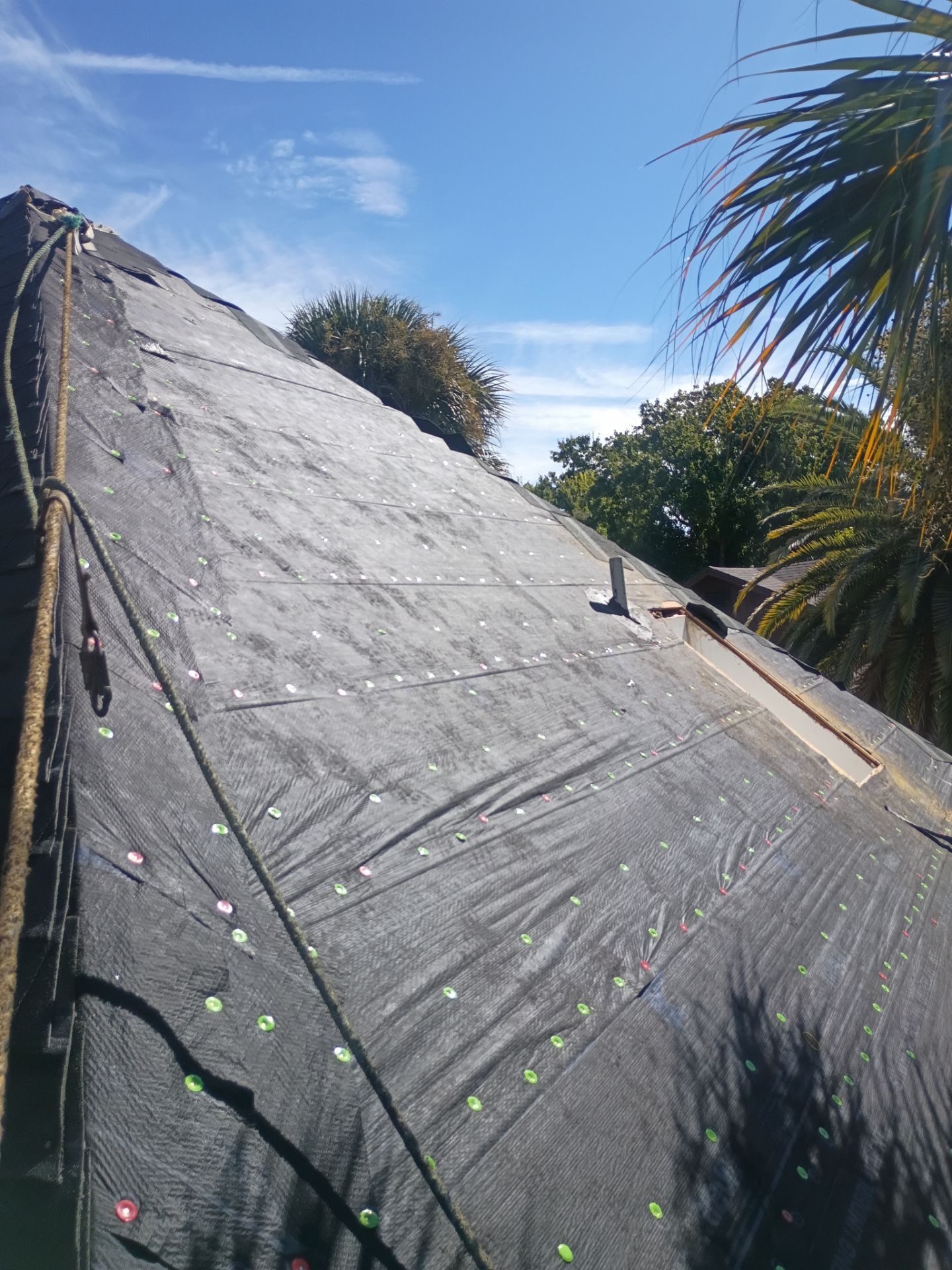 Tamko Titan Shingle Roof Replacement and Skylight Upgrade in Daytona Beach by Pinnacle Roofing Group