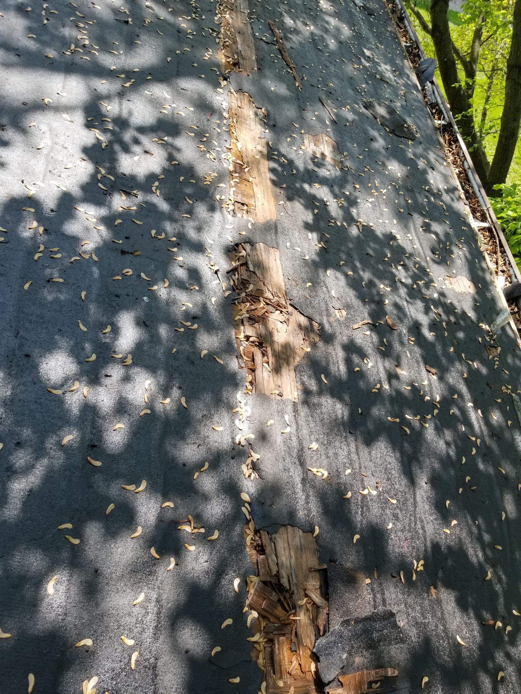 Roofing by Stofan Construction LLC