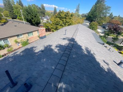 Roof Replacement 