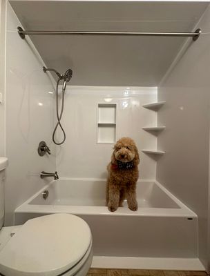 Tub Replacement in Cohoes, NY 
