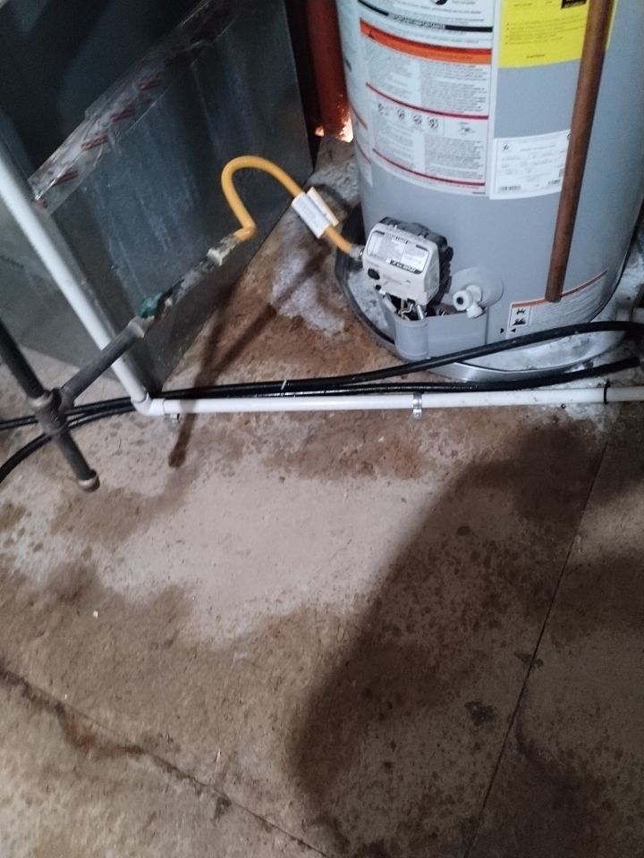 Mold Damage by Accountable Home Services