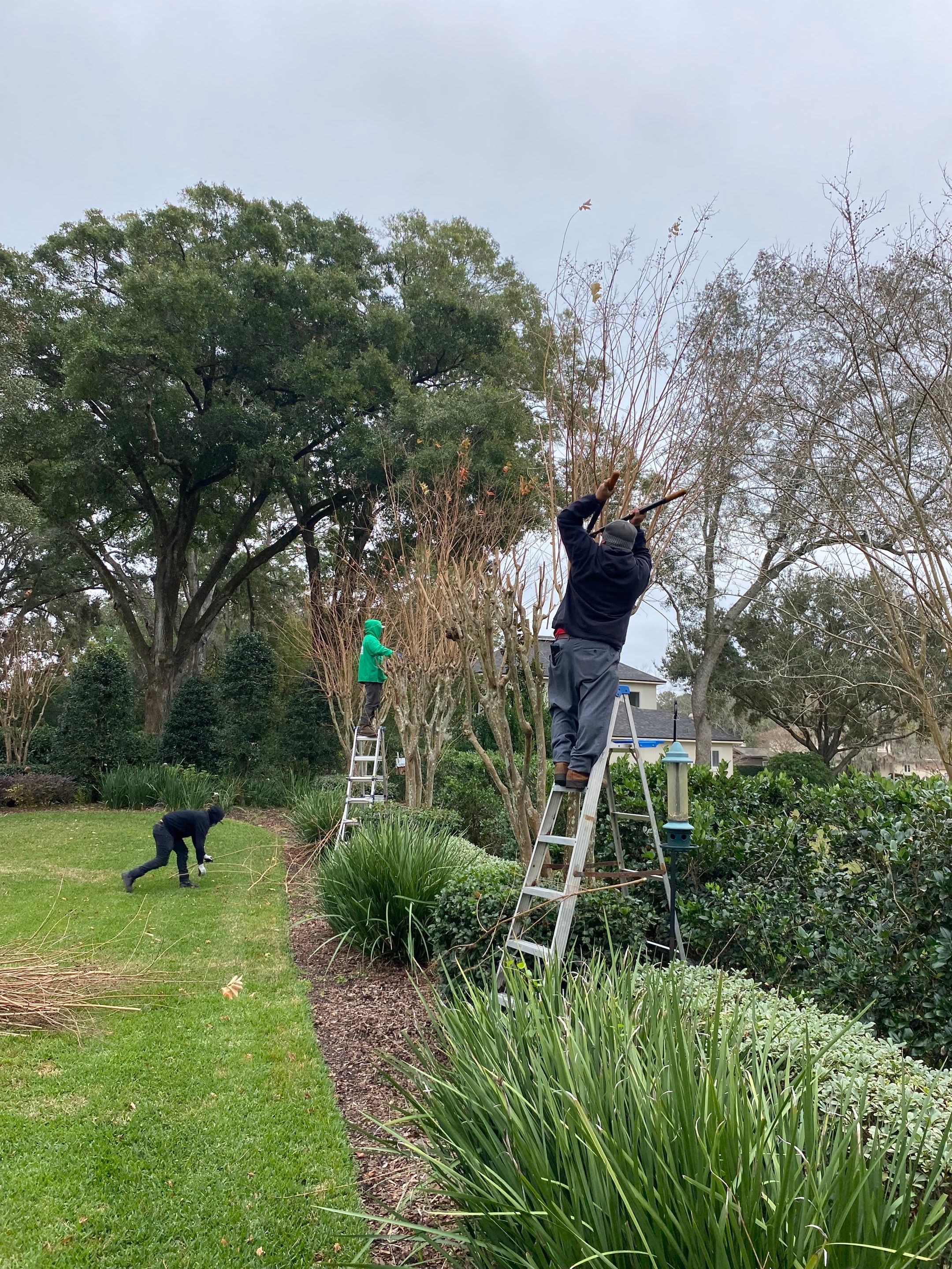 Deerwood Residence | Tree Trimming by ProGreen Services