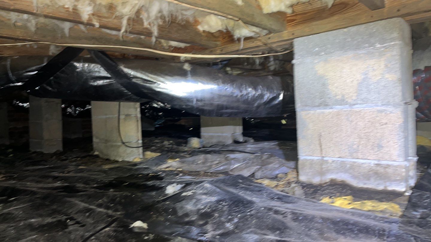 Impact Choice Encapsulation using YCS Pro Cleaner by Impact Crawlspace
