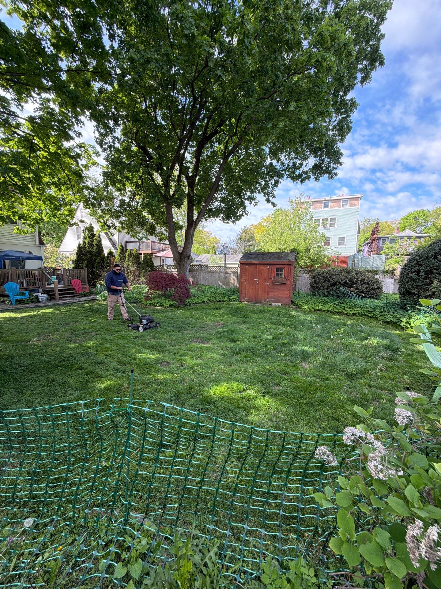 Comprehensive Lawn Care and Hedge Trimming in New Haven by Diamond Image LLC