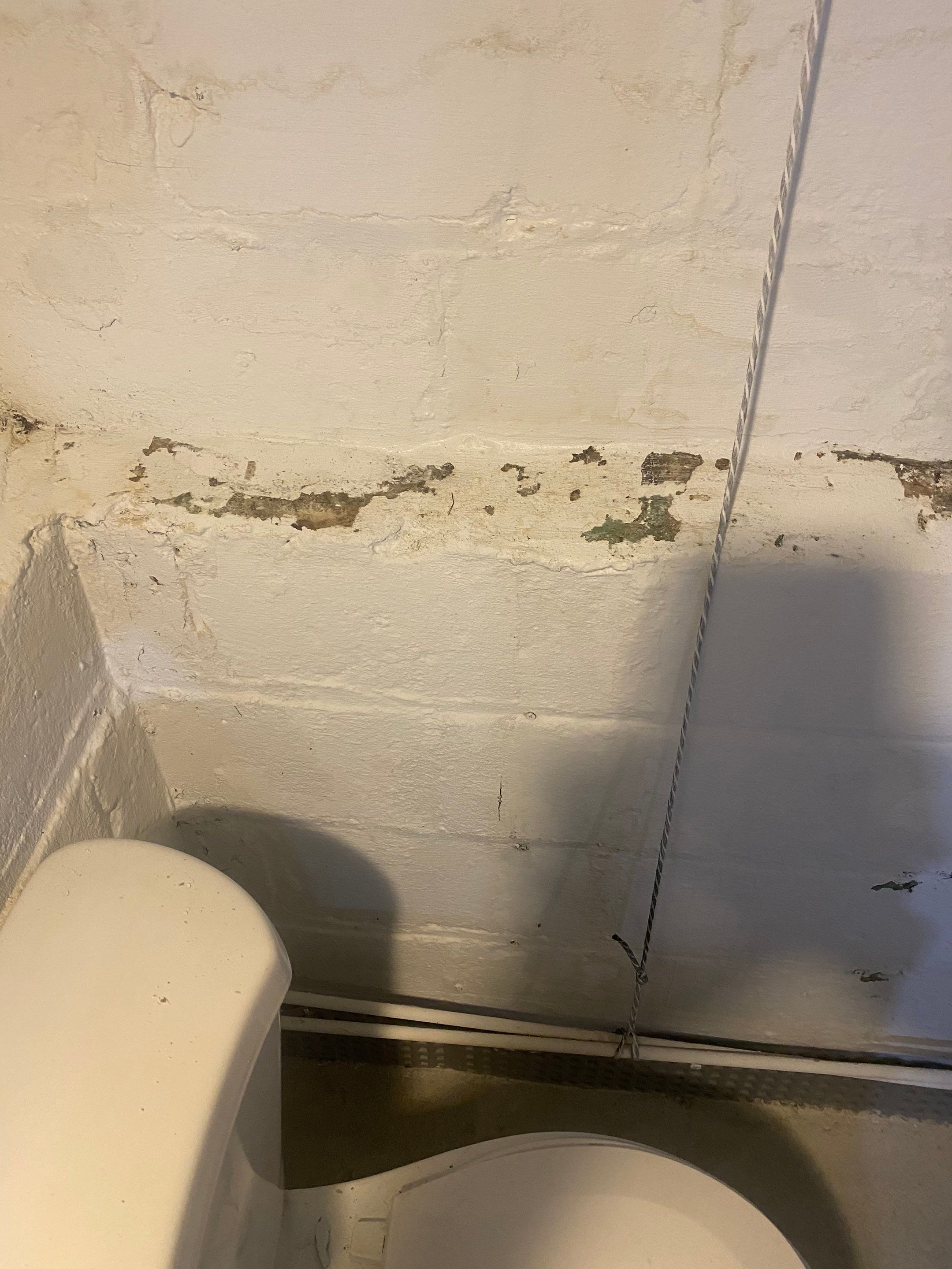 Interior French Drain Job in Bloomfield, NJ by Pure Service Pro, LLC 