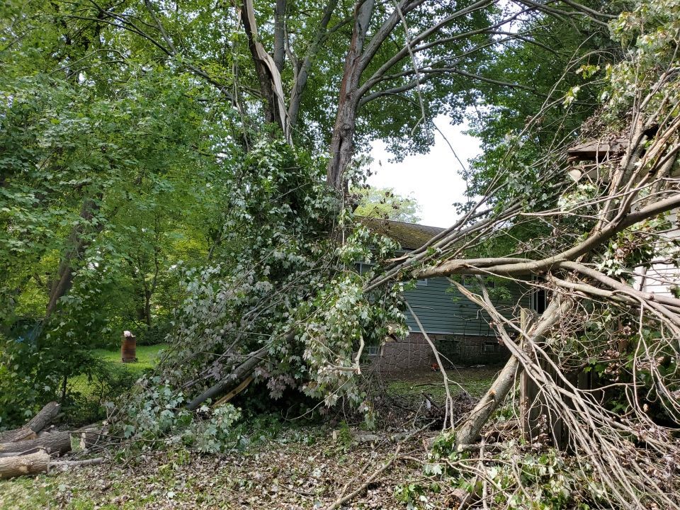 Storm Damaged Tree Removal  by Mike Jones & Sons Tree Service LLC 