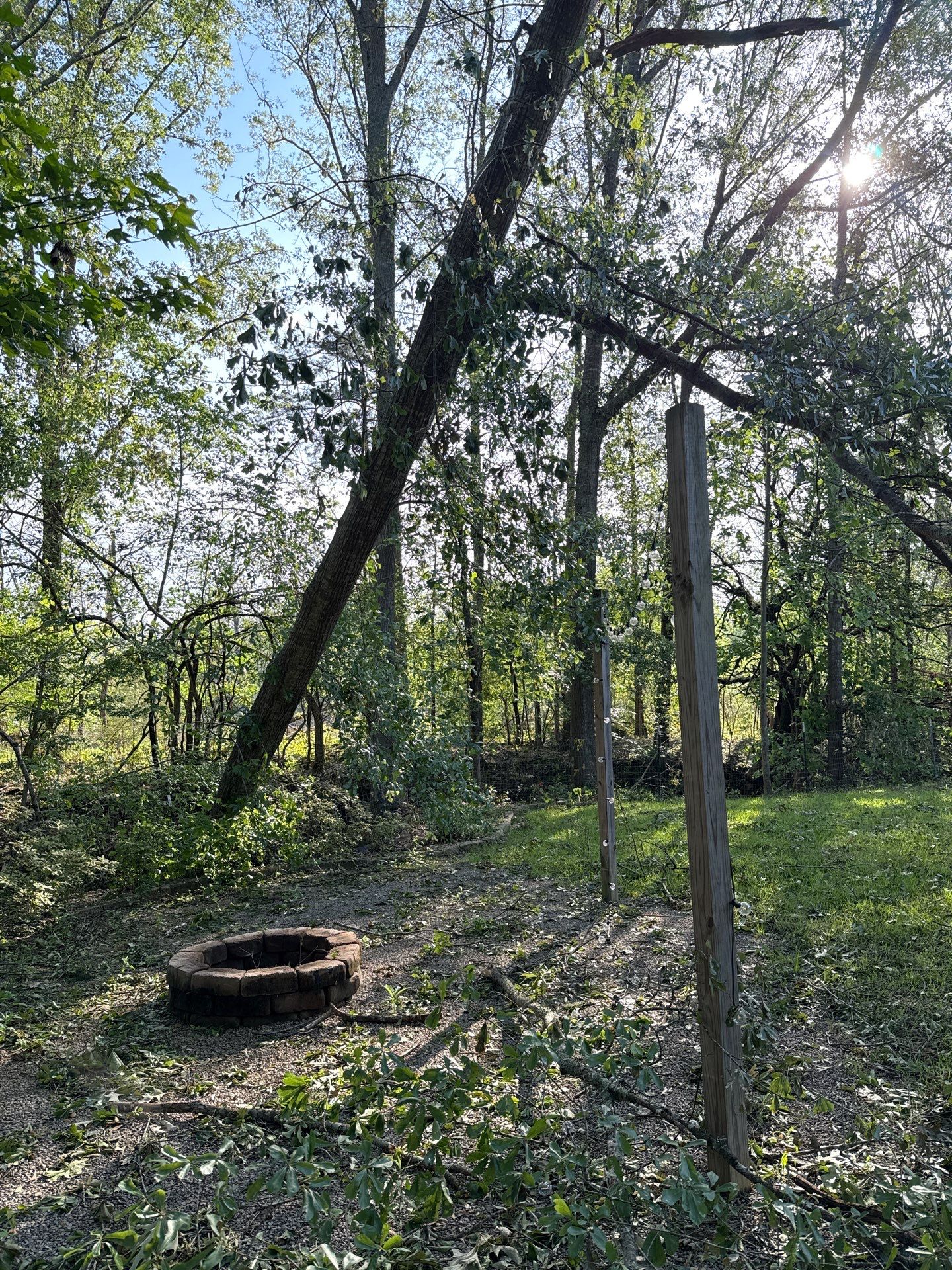 Disaster Relief using Dinolift  by American Arbor