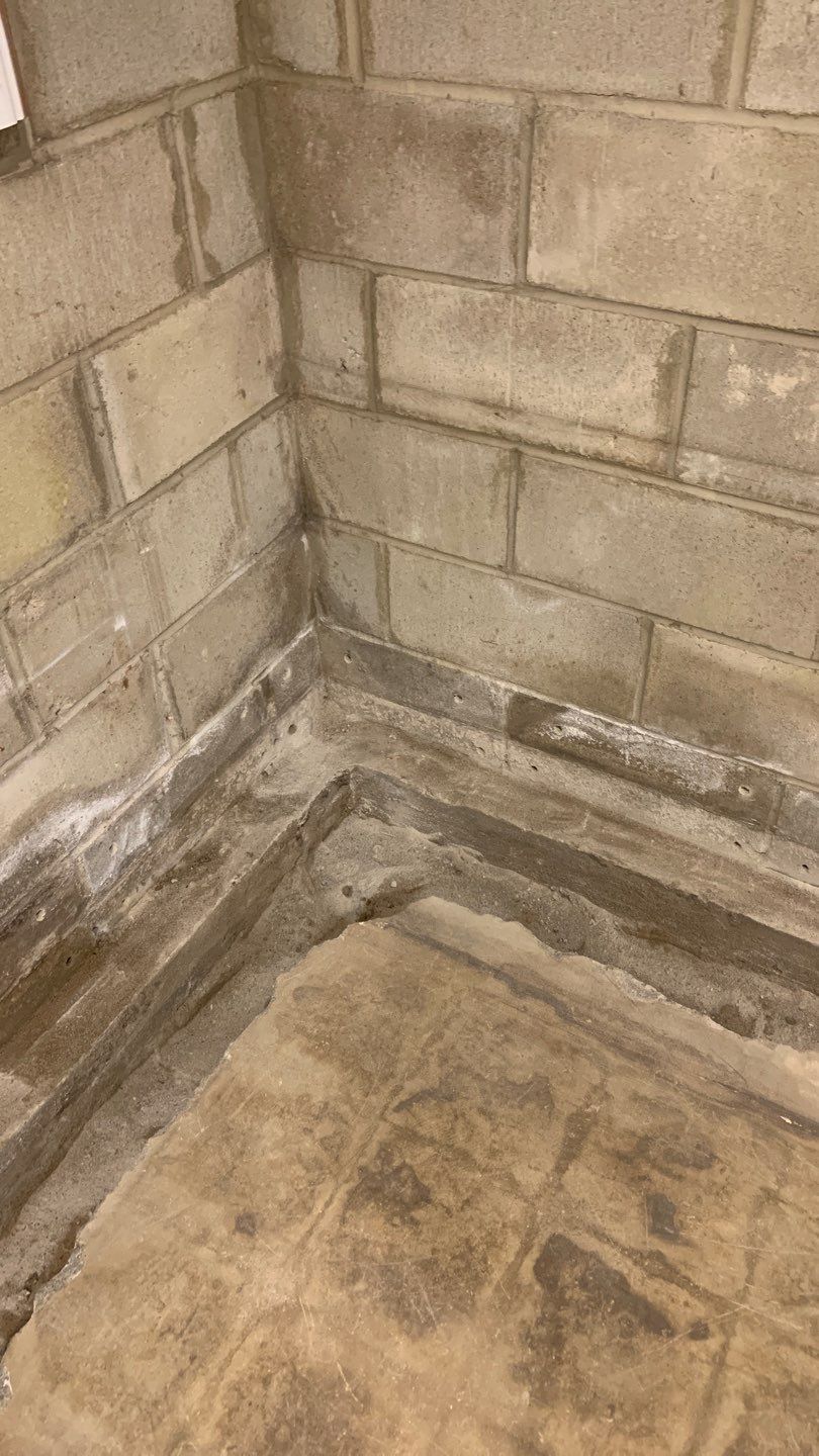 Eliminating Moisture & Mold for Betsy by Waterproofing Northeast