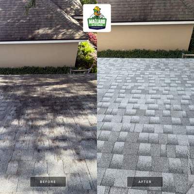 Shingle Roof Cleaning