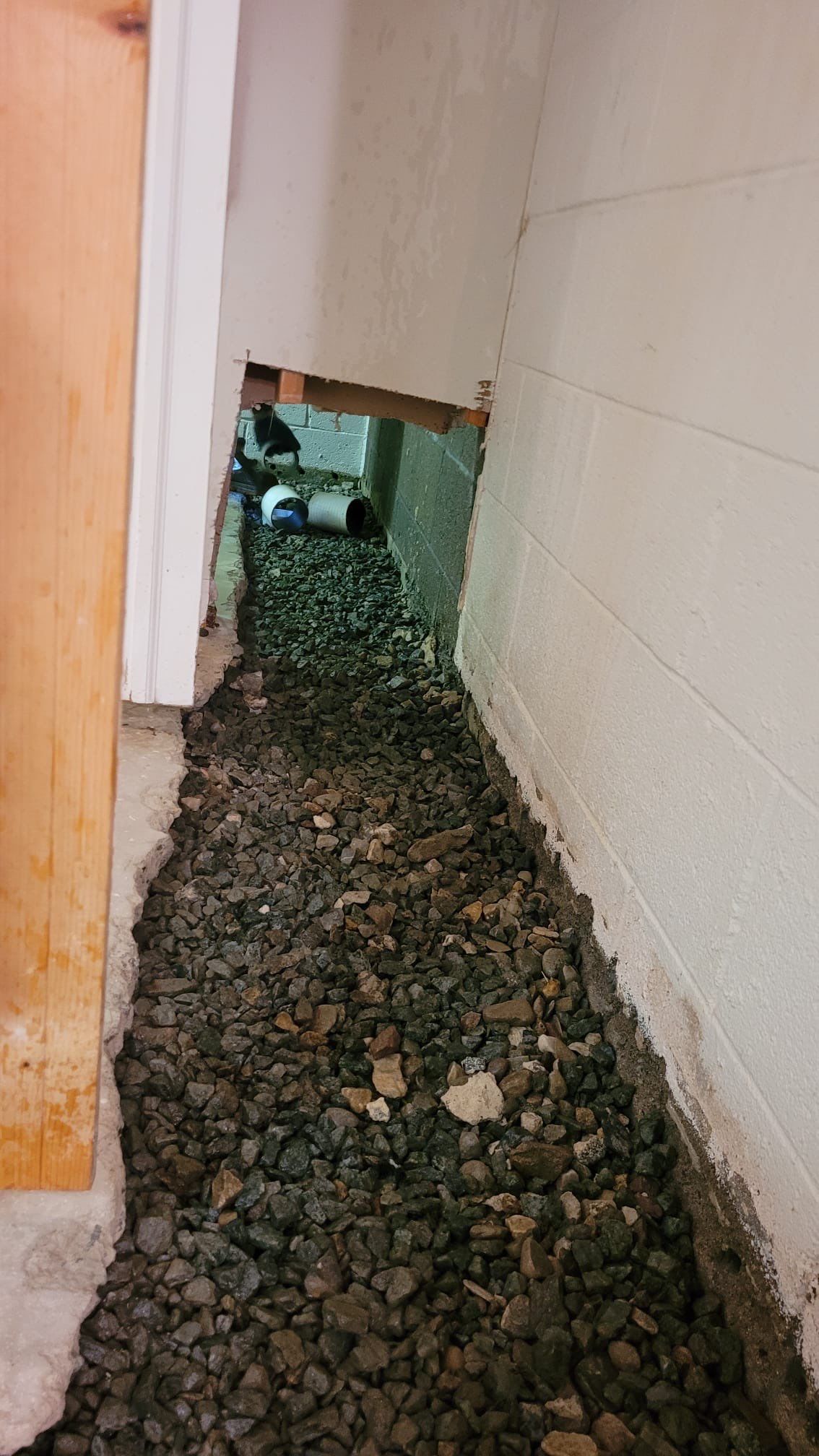 Interior French Drain With Radon Seal & Mold Remediation in Wall Township by Pure Service Pro, LLC 