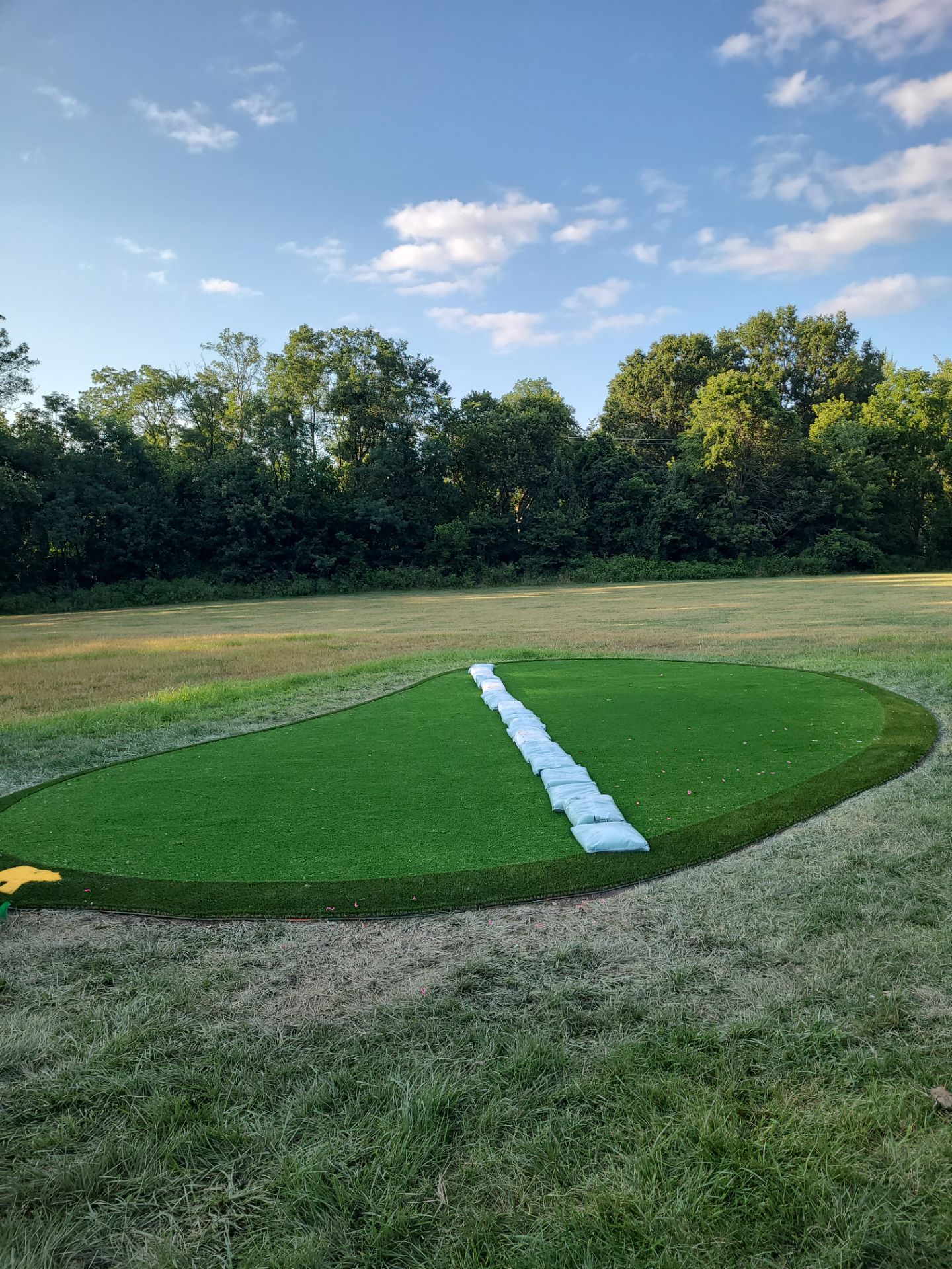 Columbus Backyard Green by Southwest Greens Midwest