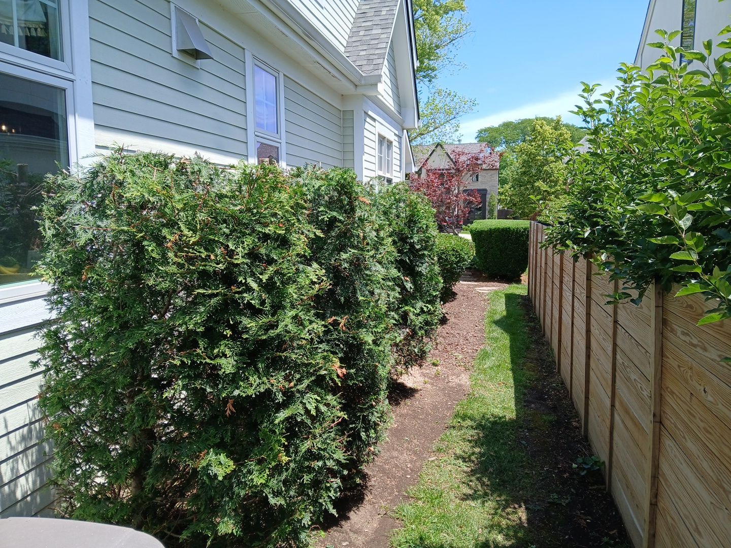 Lisa C. - Arlington Heights, IL by A&N