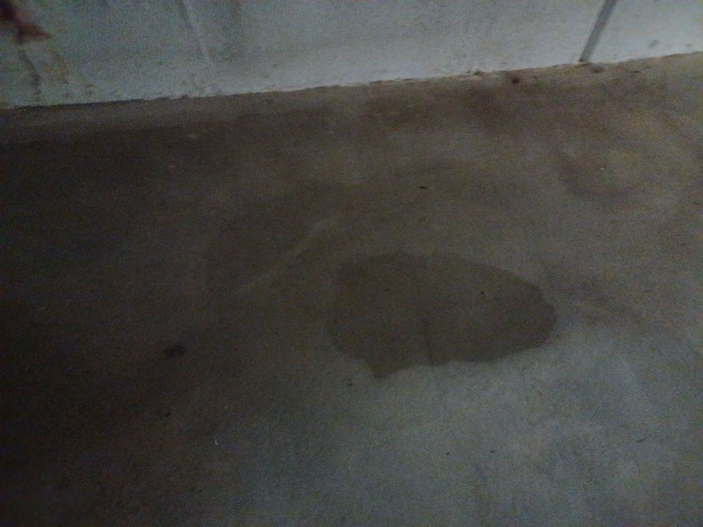 Project in West Bloomfield Township by EzDry Water Mitigation & Property Restoration