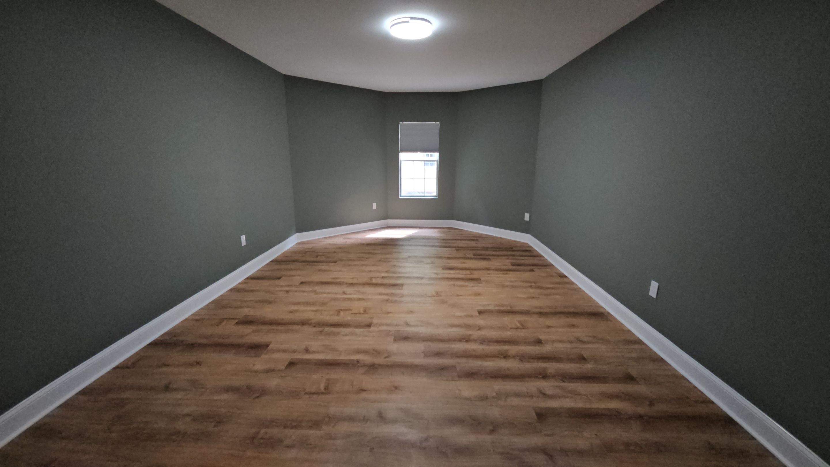 Palmetto Basement by Ajayi Design and Construction 