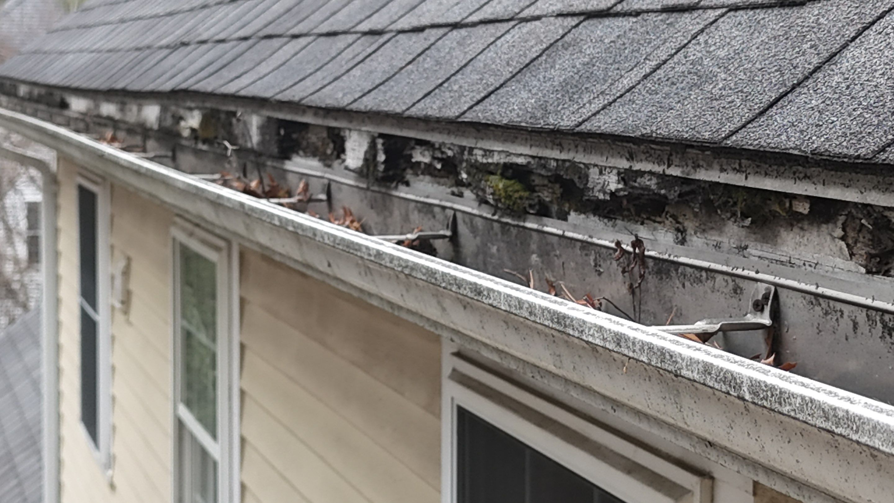 Full Roof Replacement & PVC Fascia Upgrade in Acton by Mighty Dog Roofing of Greater Middlesex County