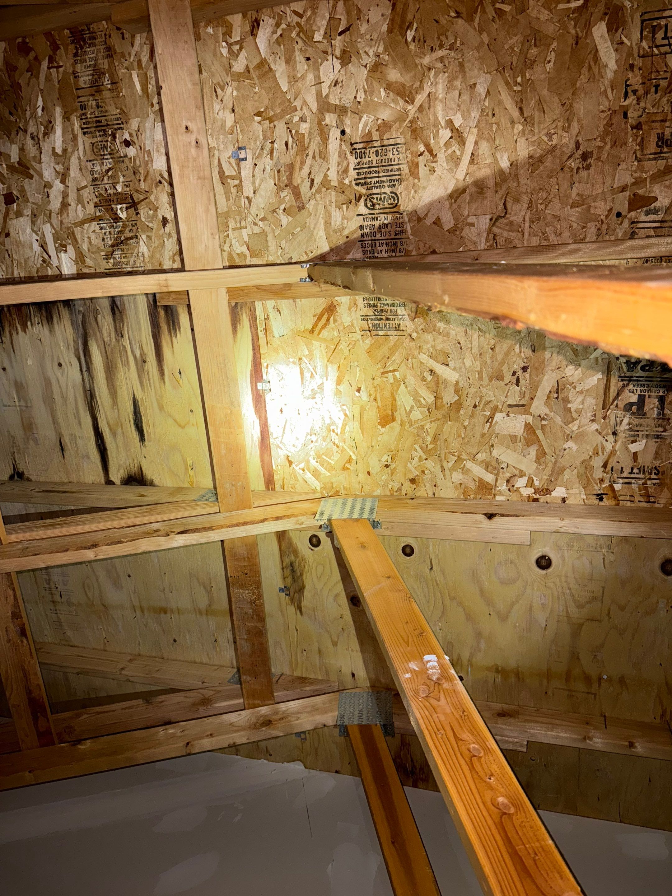 Roof Repair,  by Proline Roofing & Restoration LLC