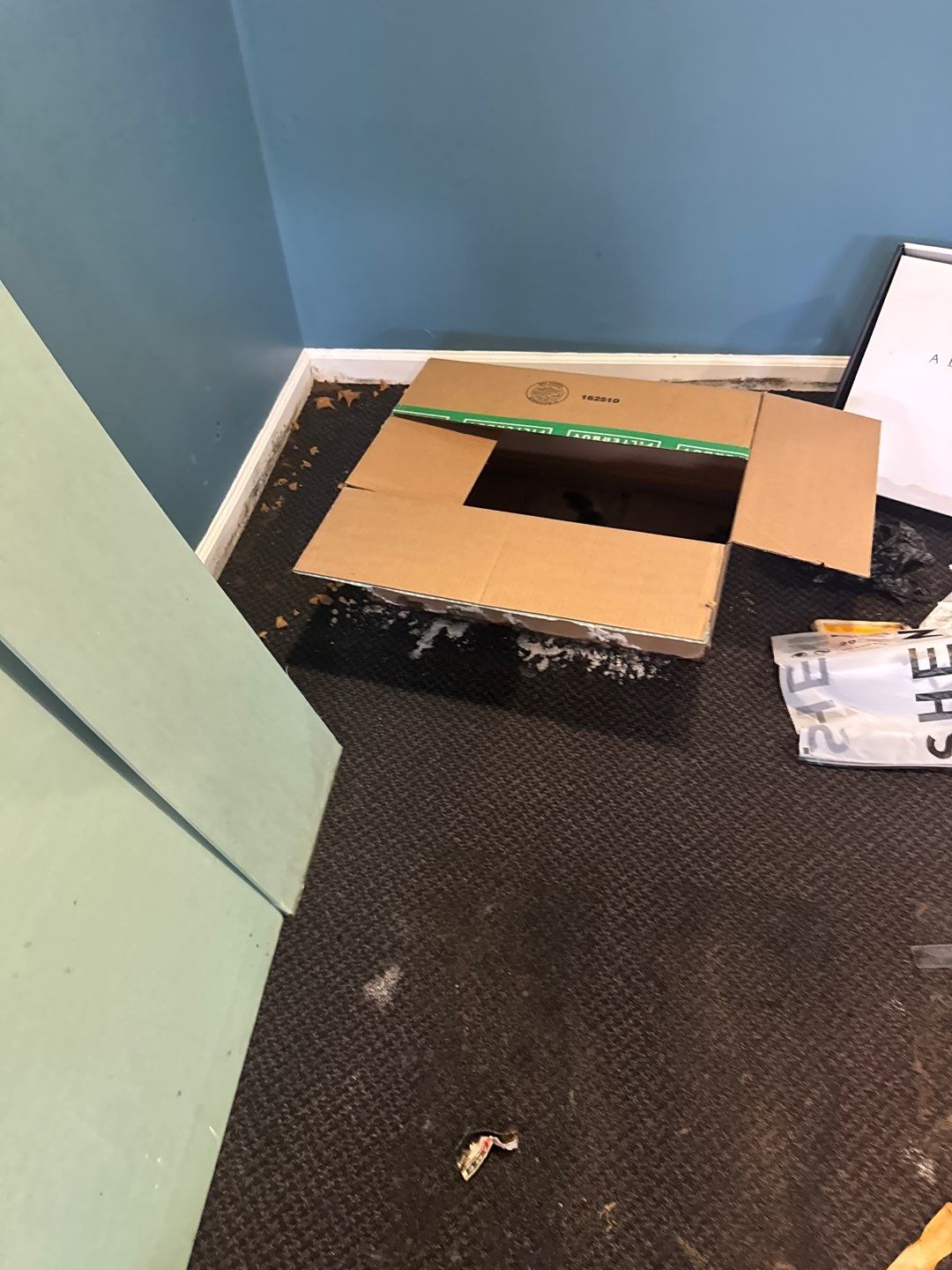 Project in West Bloomfield by EzDry Water Mitigation & Property Restoration