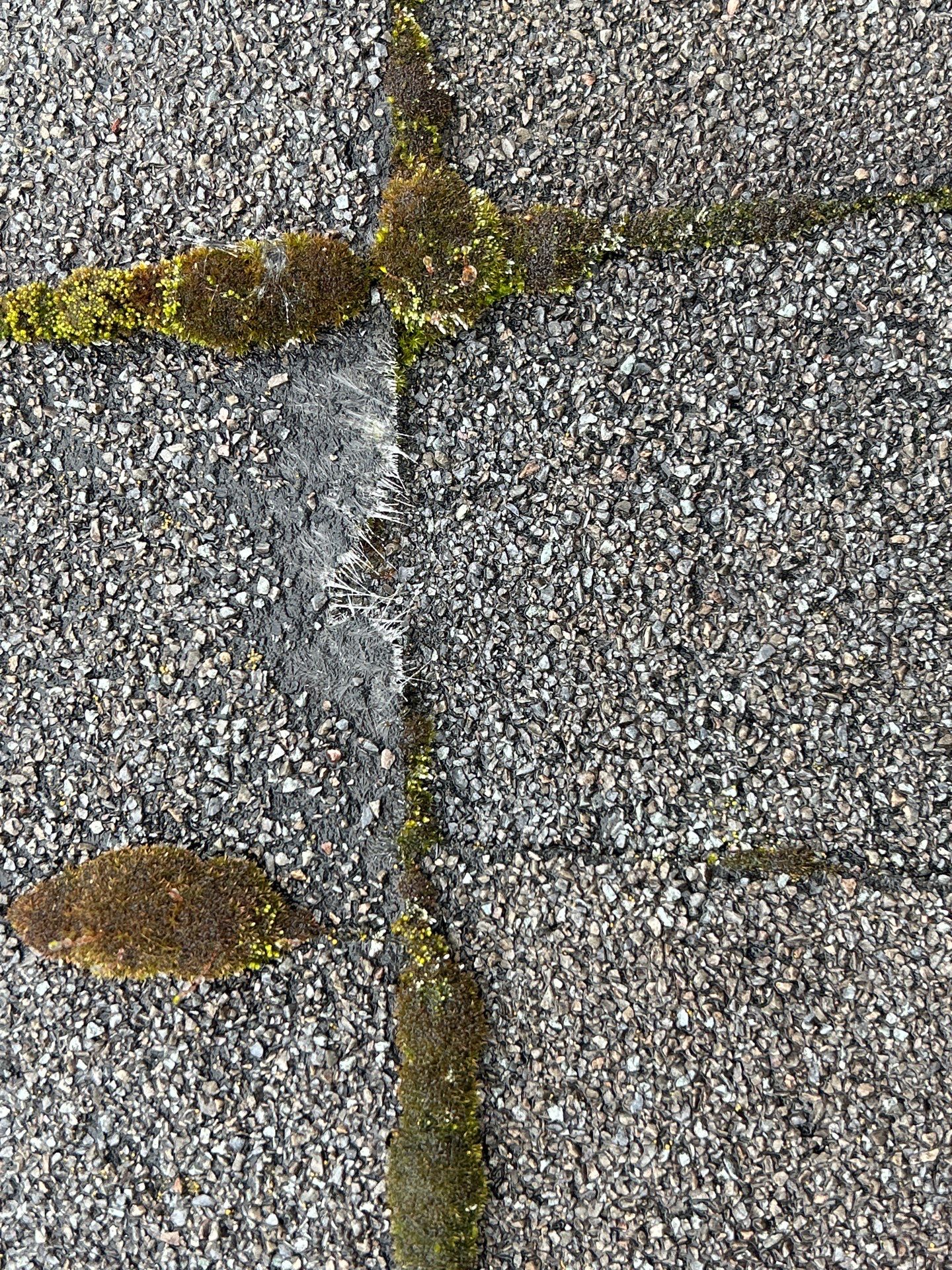 Project in Mill Creek by Connolly Construction Company