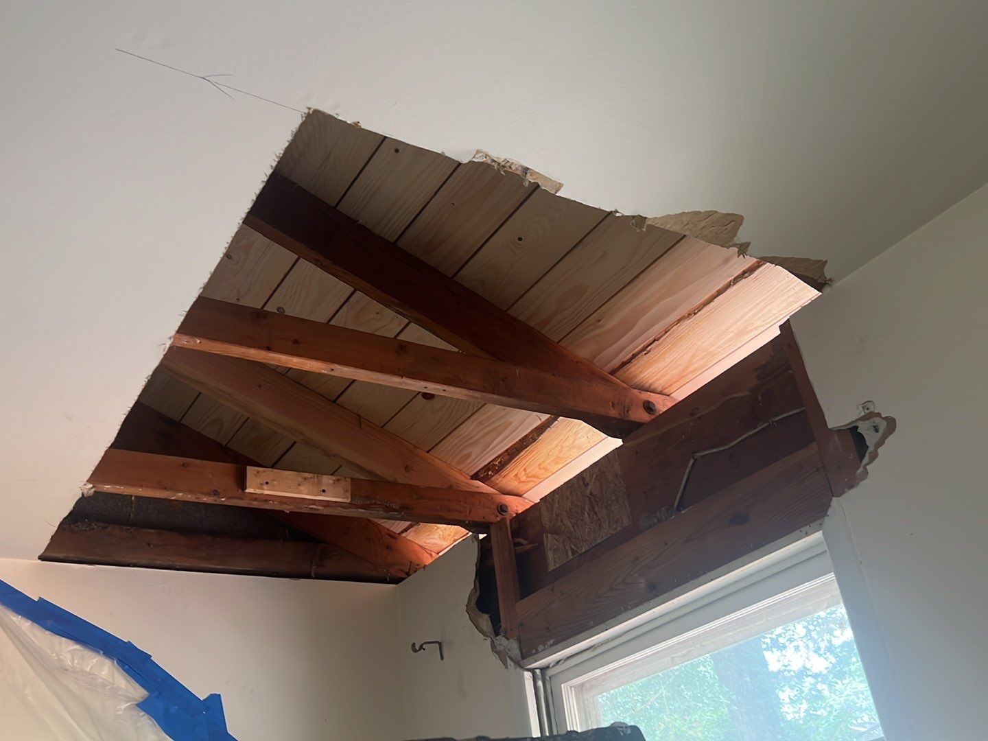 Springfield Tree Damage Restoration: CertainTeed Landmark Designer Shingles in Charcoal Black by RM Banning, Inc.