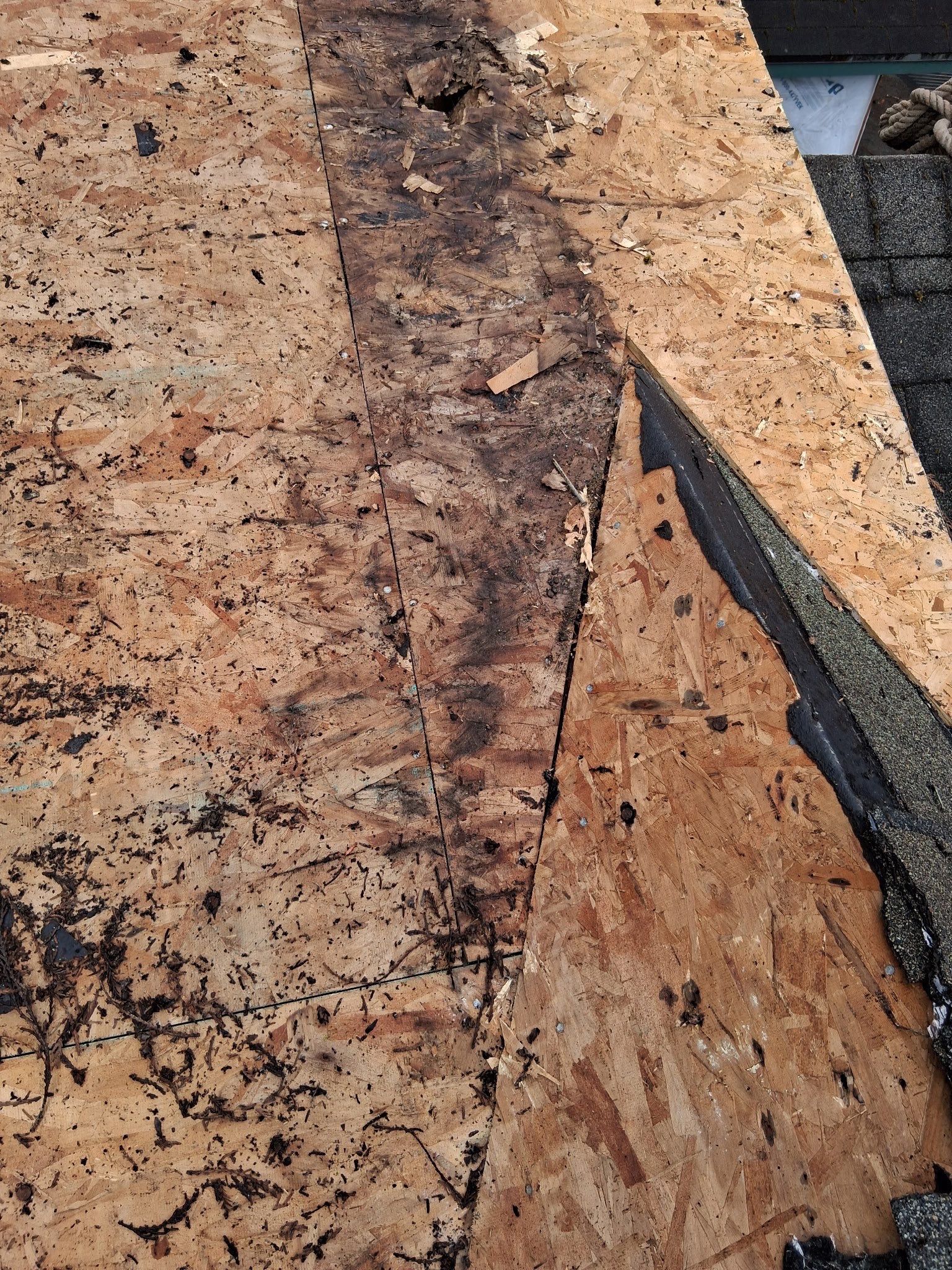 Project in Gresham by Tom Leach Roofing