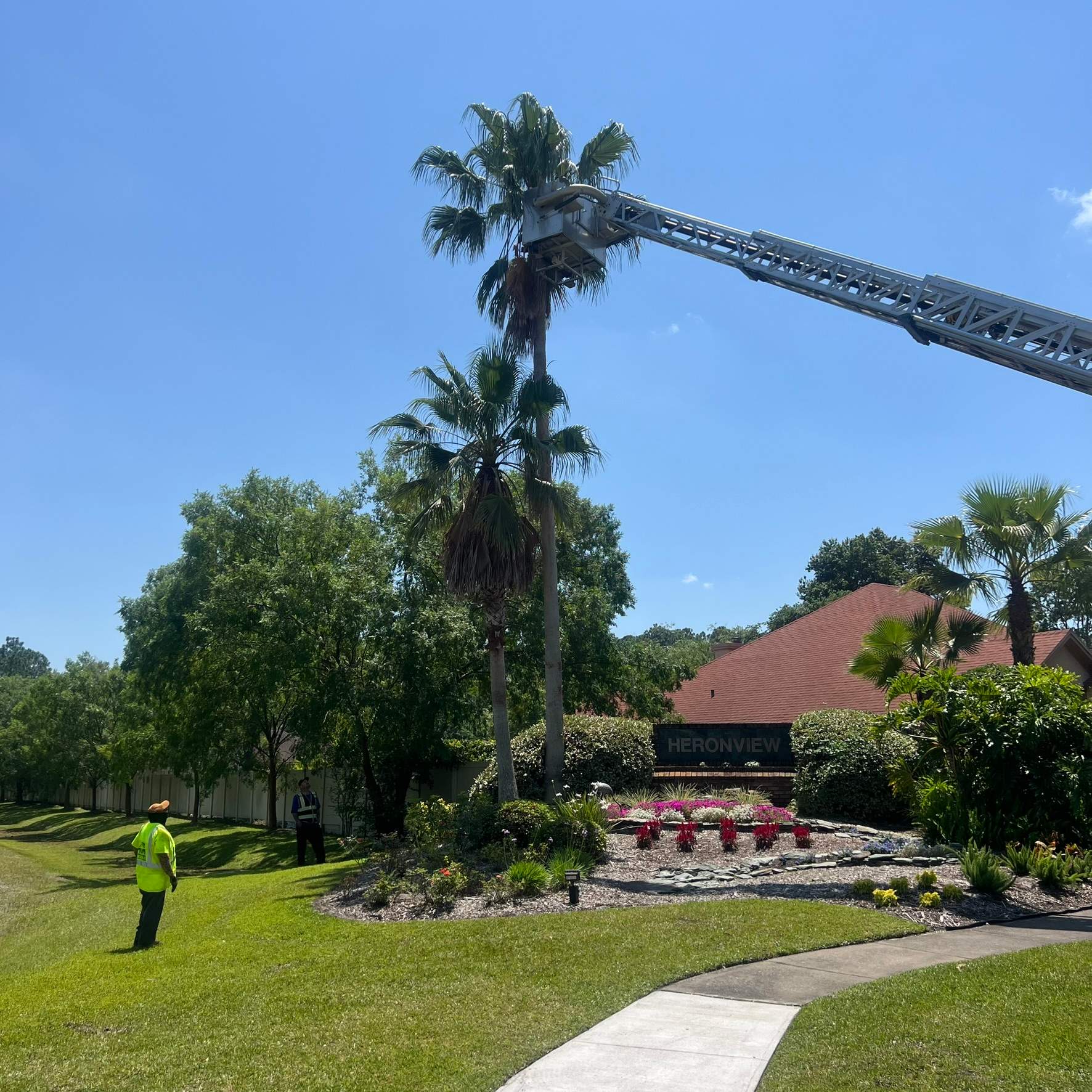 Tree Work | Heronview HOA by ProGreen Services