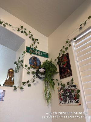 Interior Accent Wall and Window Blind Installation in Phoenix