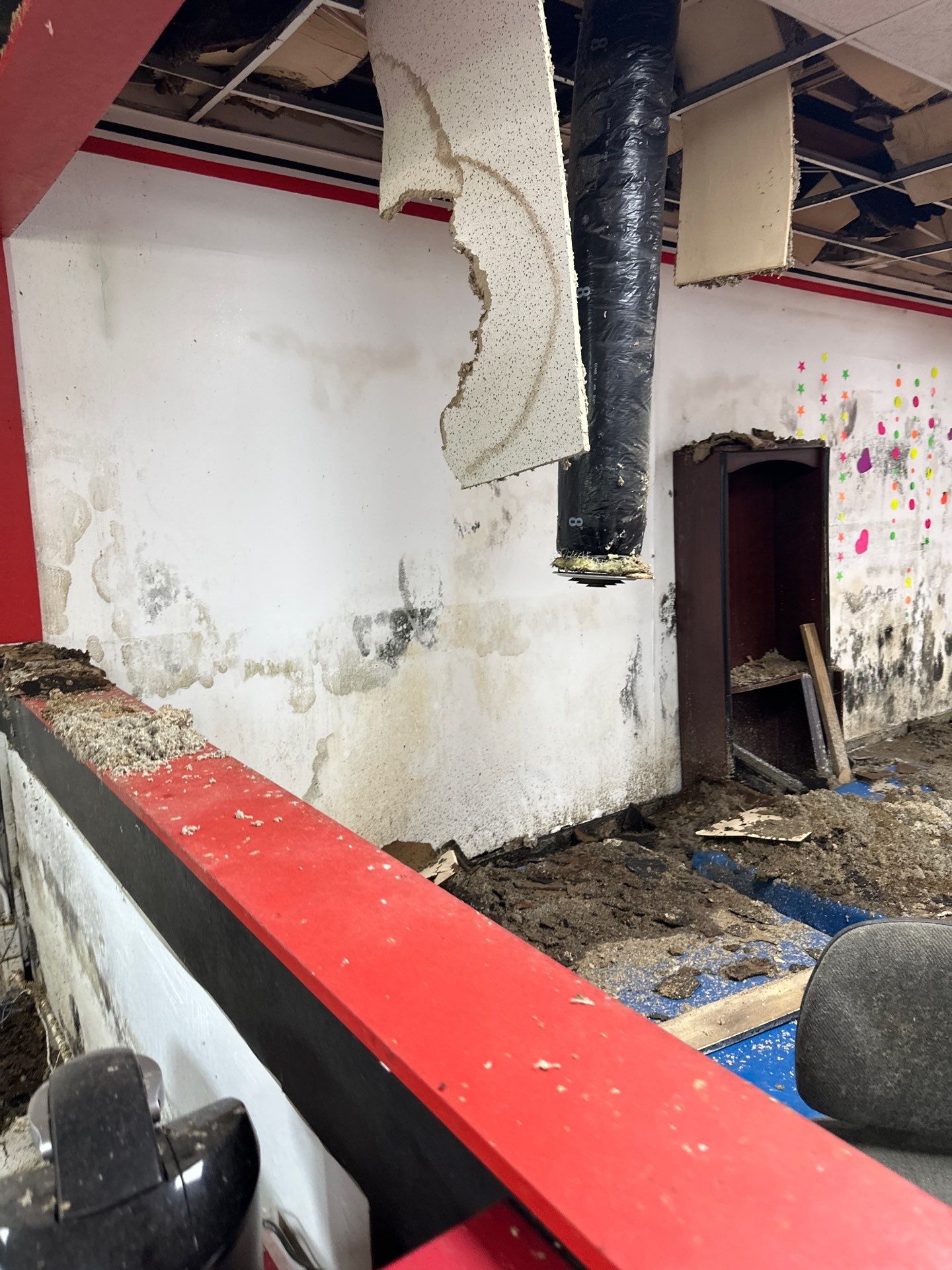 Extreme Mold Contamination: Full-Building Remediation Case Study by BlueRed Restoration