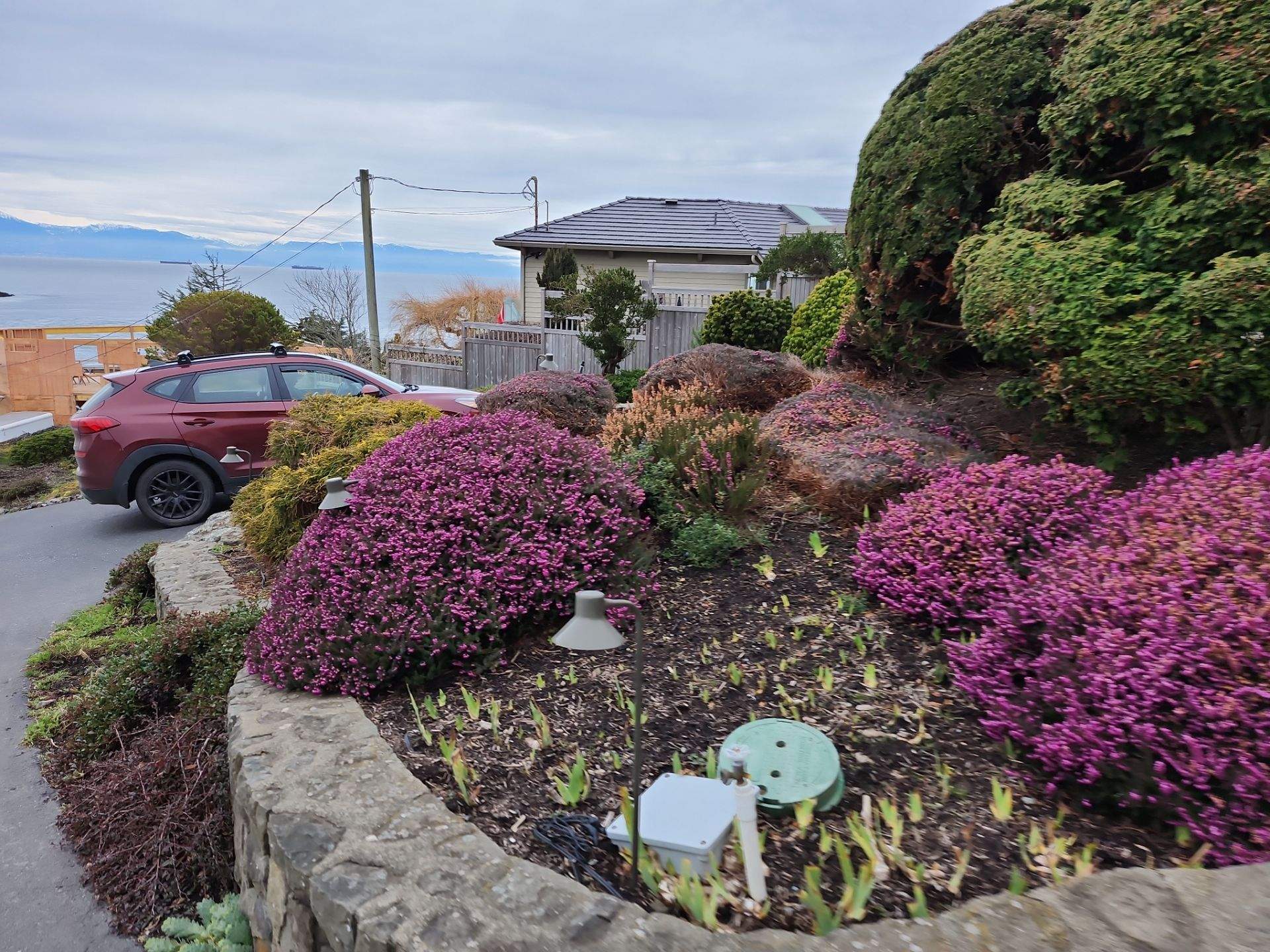 Oak Bay Residence by Habanero Garden and Exterior Care